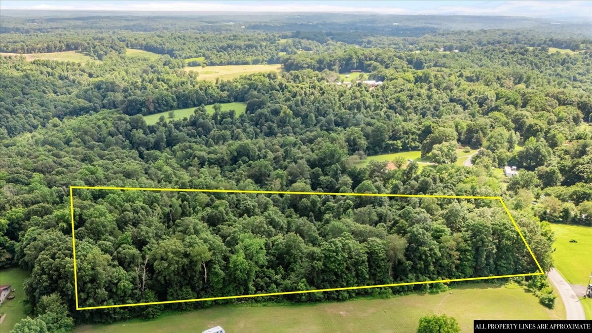 0 Hunley Branch Rd Property Photo 11