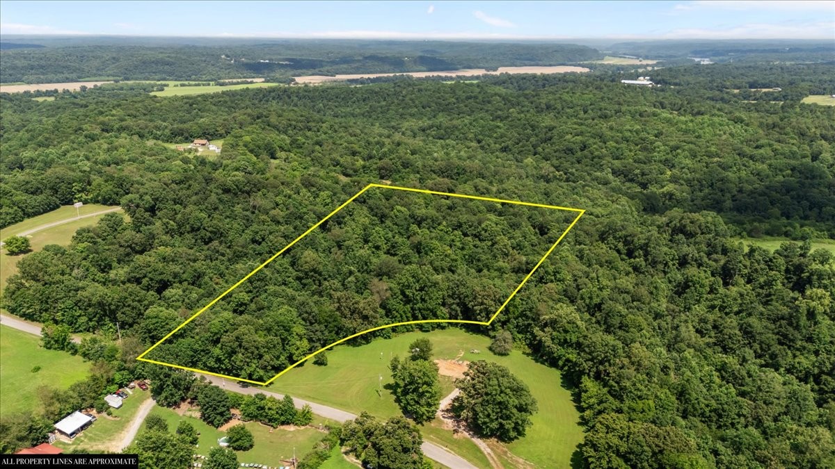 0 Hunley Branch Rd Property Photo 1