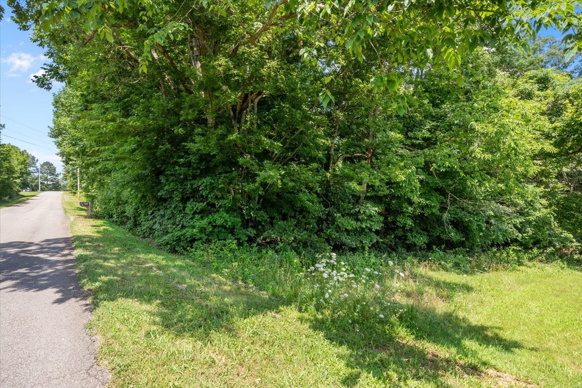 0 Hunley Branch Rd Property Photo 5