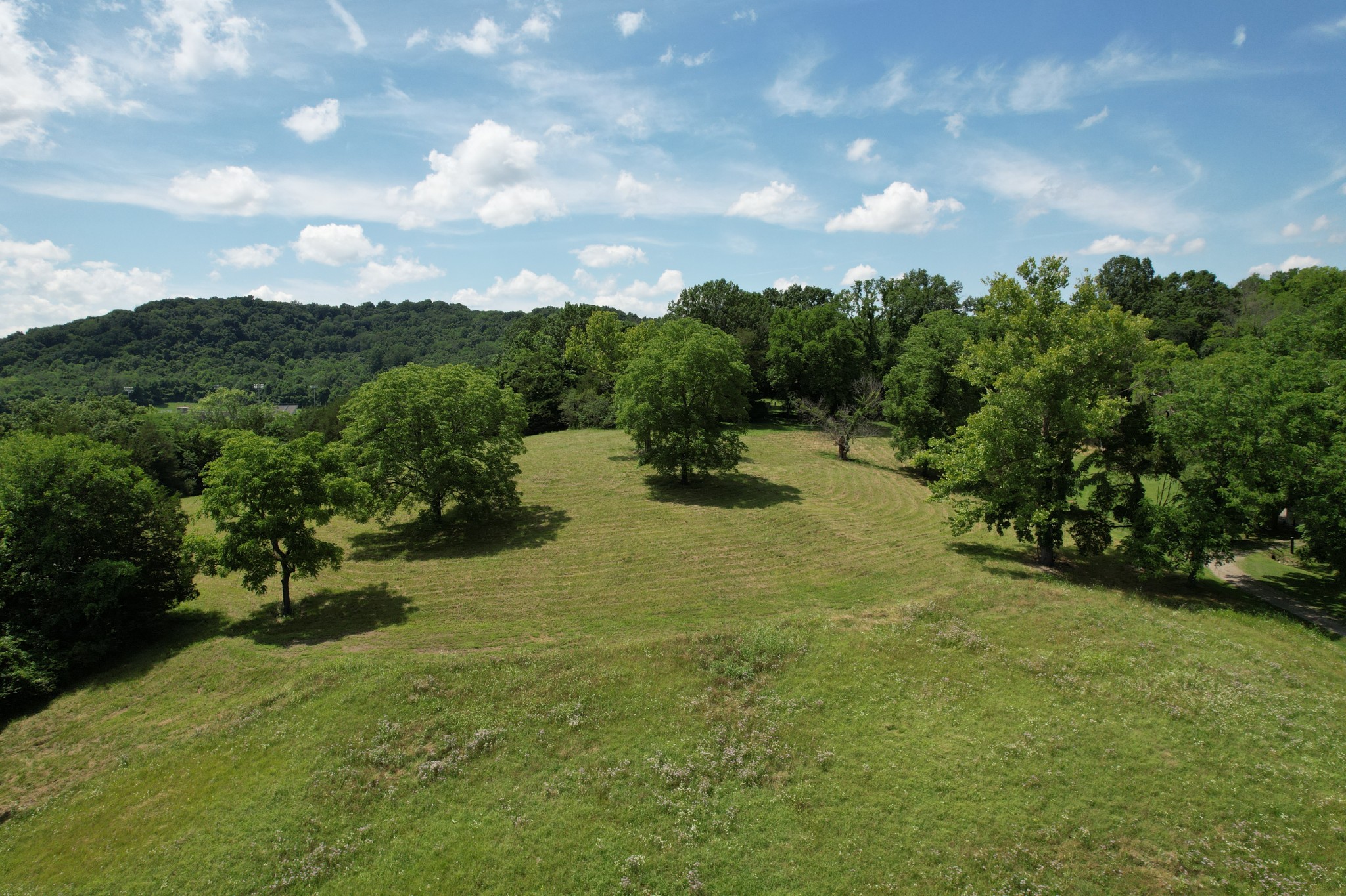 7343 Old Hickory Blvd Property Photo 1