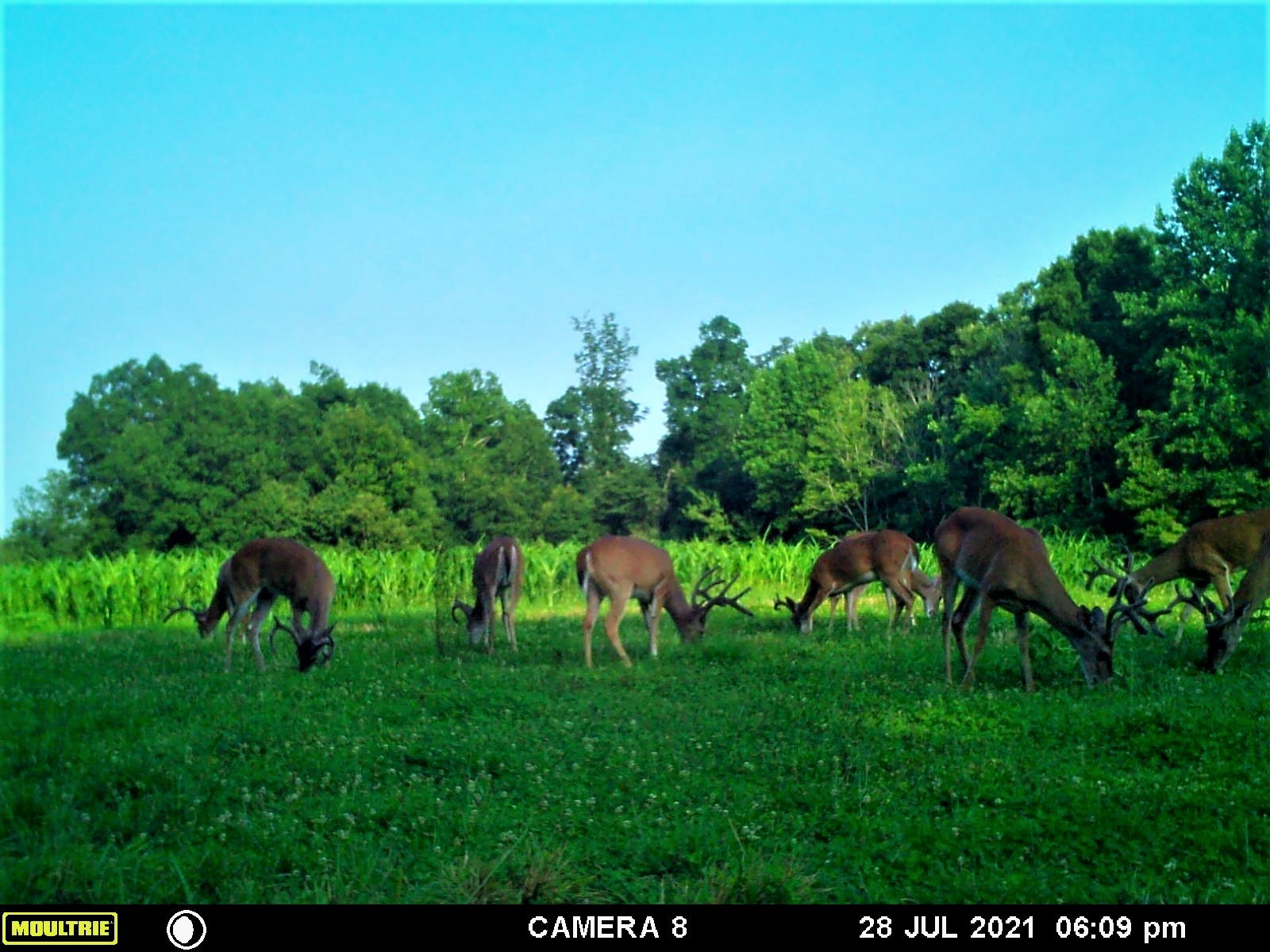 2270 Shuler Branch Rd Property Photo 11