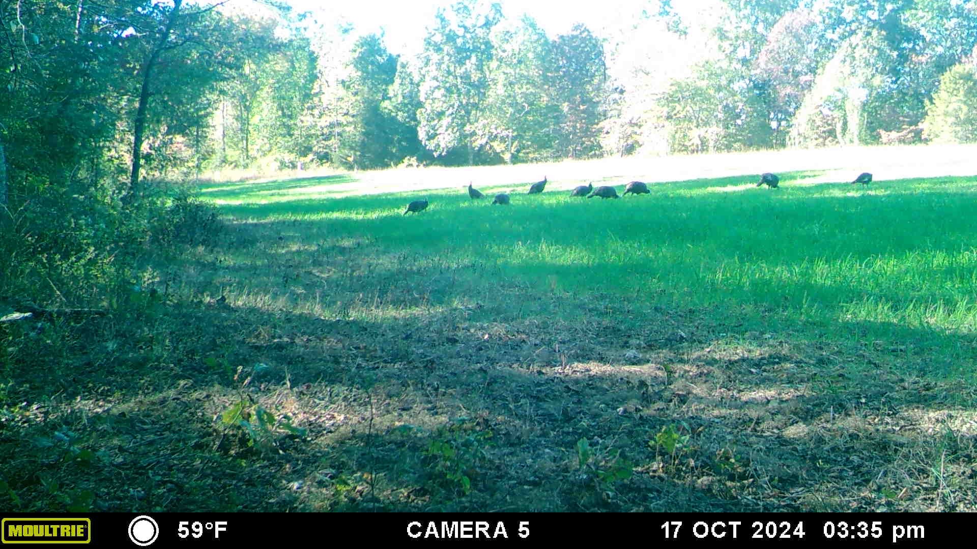 2270 Shuler Branch Rd Property Photo 12