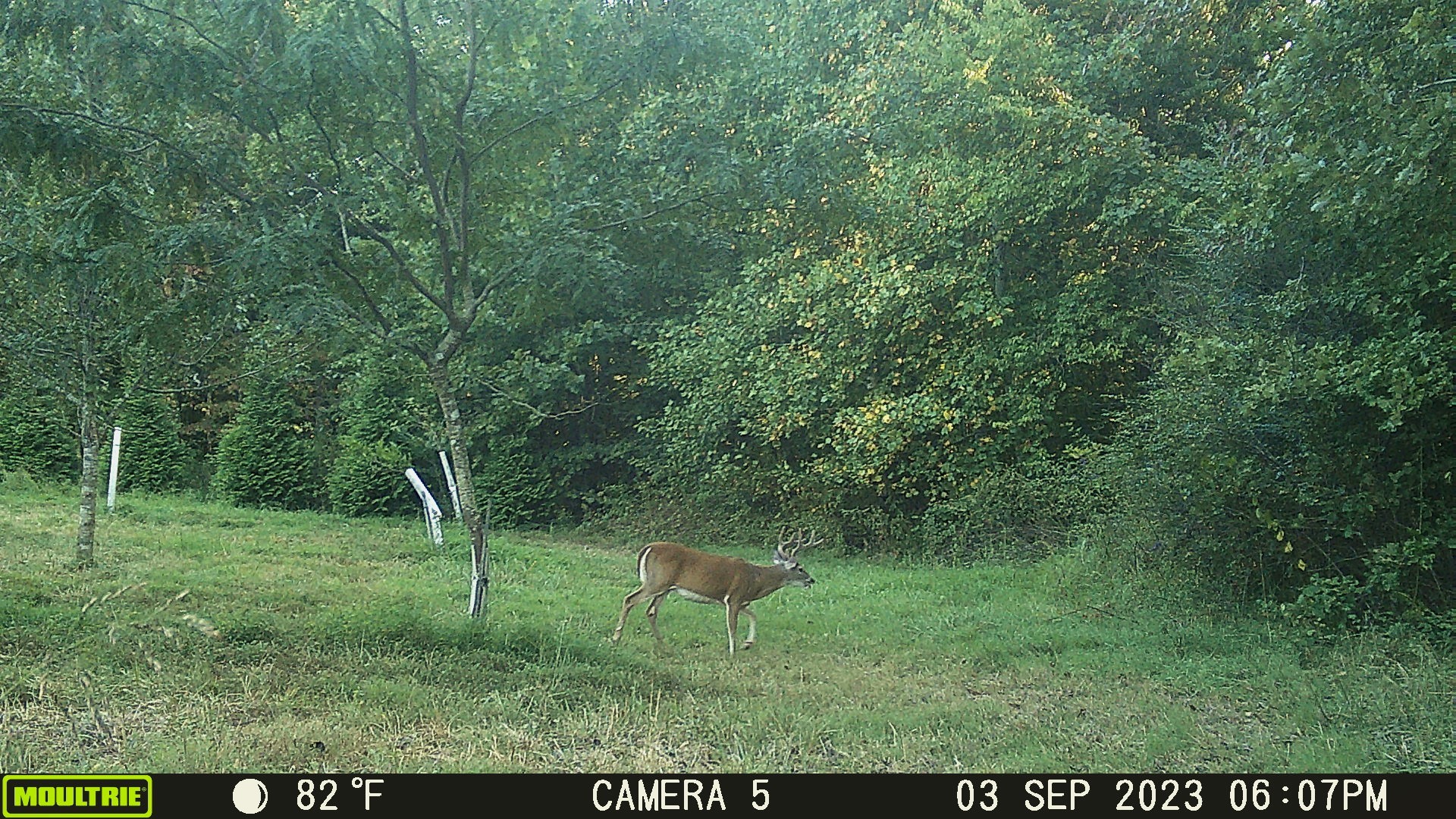 2270 Shuler Branch Rd Property Photo 13