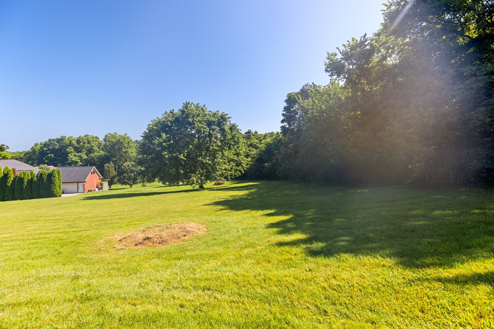 1057 The Long Run Property Photo 64