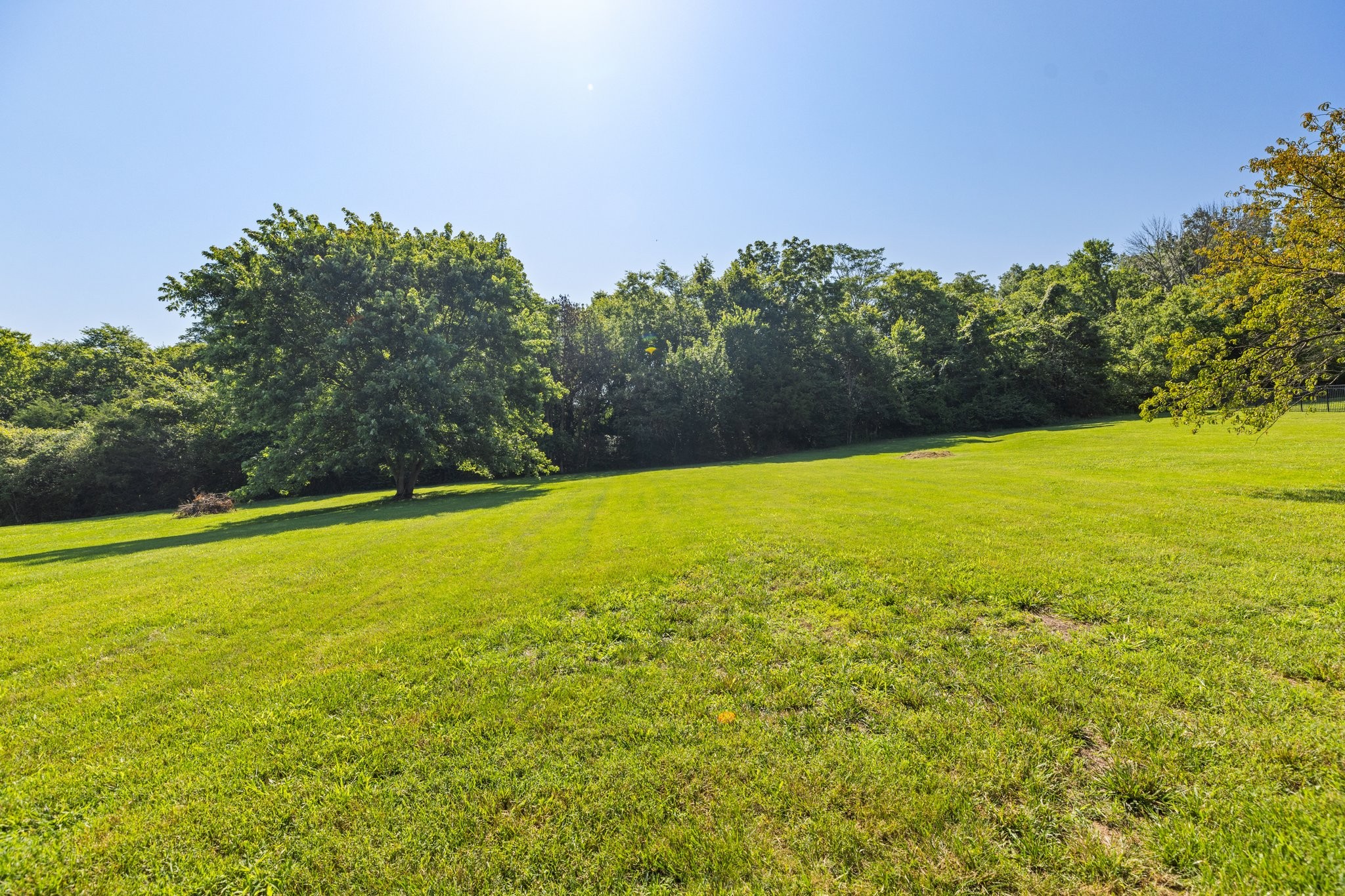 1057 The Long Run Property Photo 68
