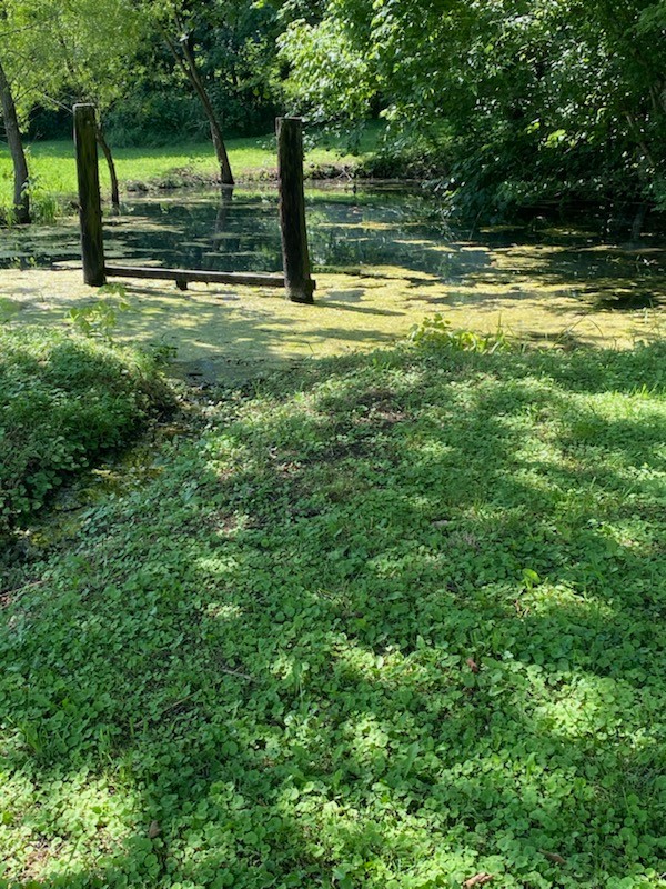 2052 Donahue Creek Rd Property Photo 2