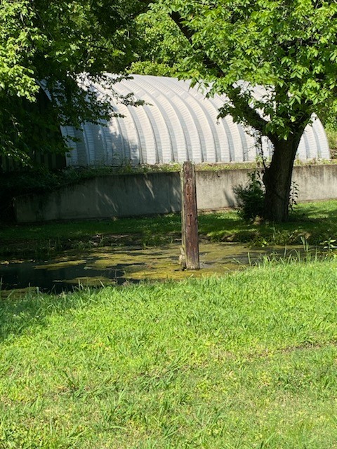 2052 Donahue Creek Rd Property Photo 4