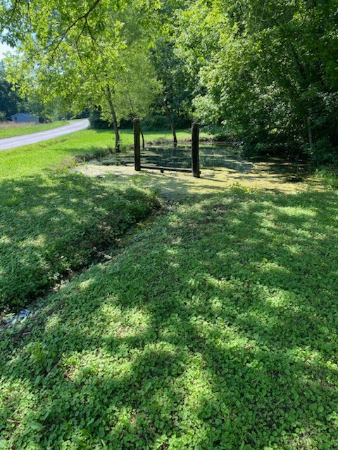 2052 Donahue Creek Rd Property Photo 10