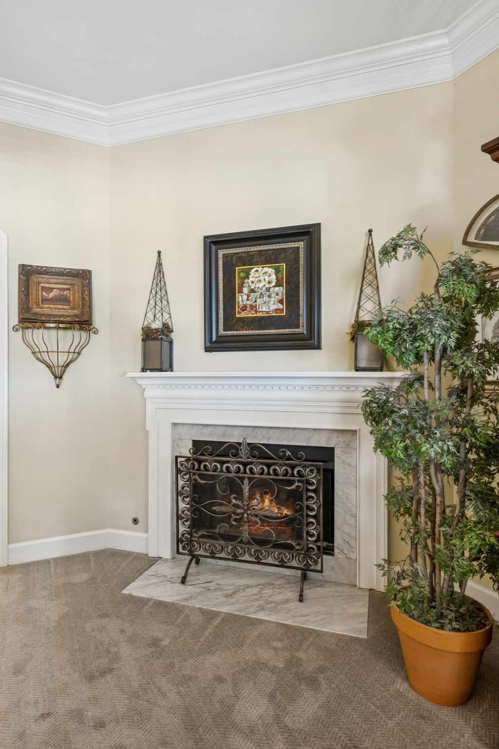 101 Wellington Park Ct Property Photo 23