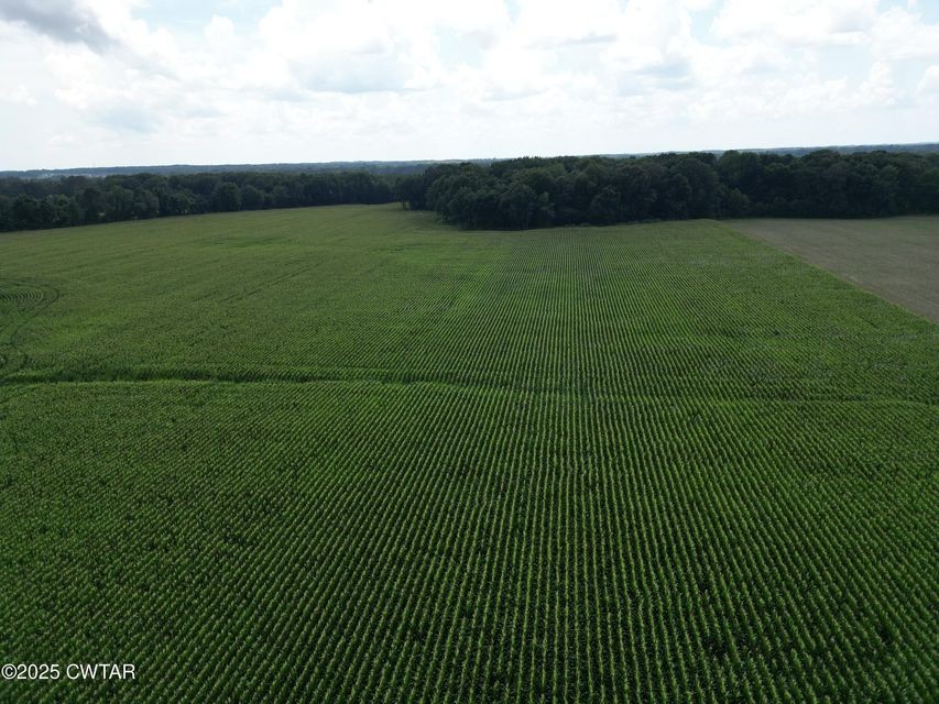 1 Hwy 45 N Property Photo 9