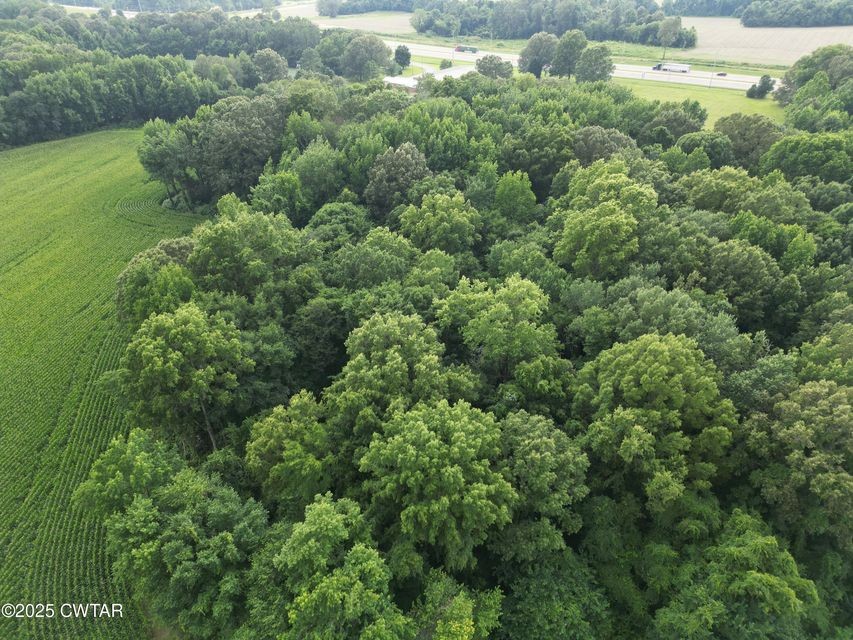 1 Hwy 45 N Property Photo 10