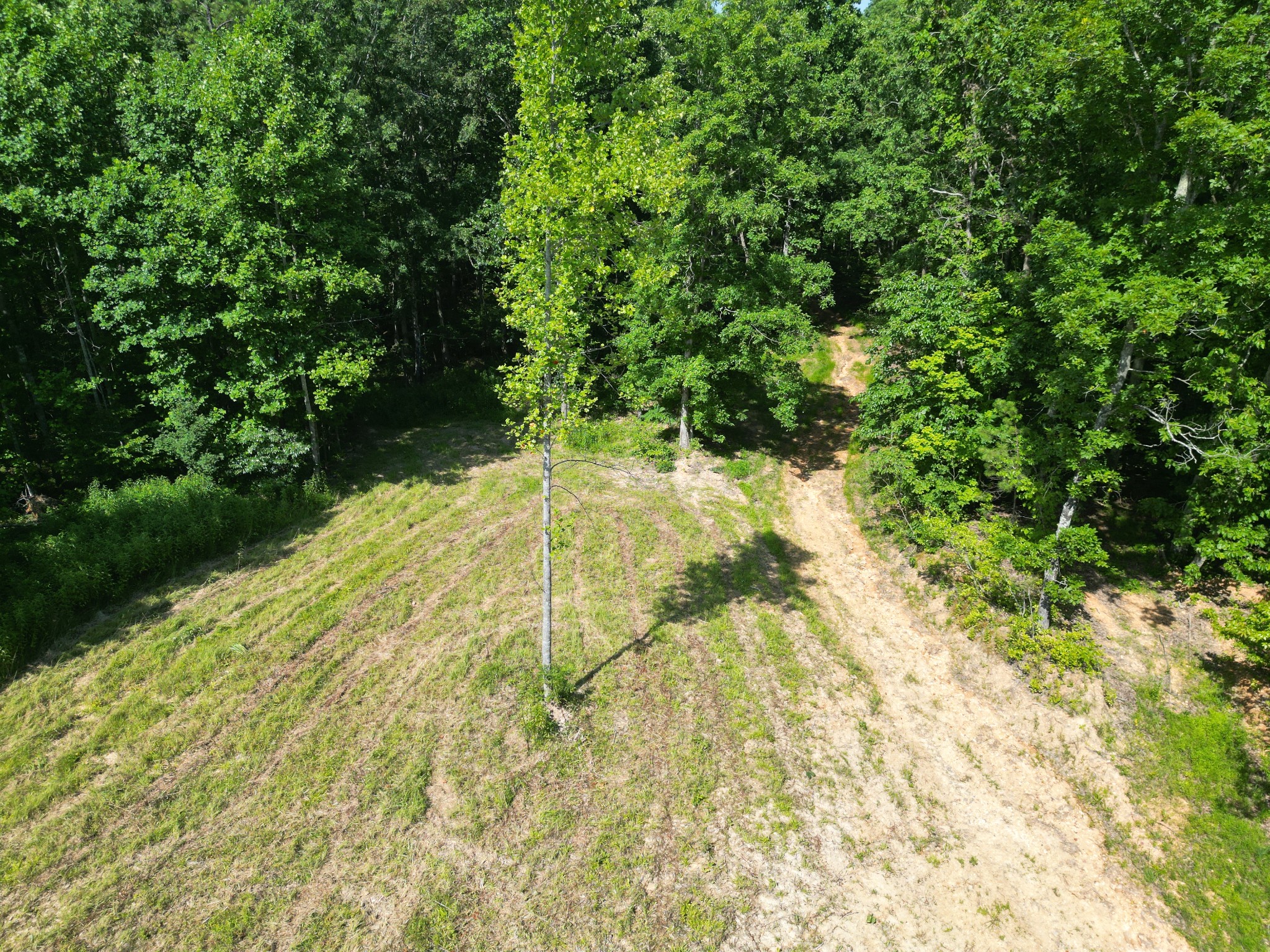0 Old Penny Rd Property Photo 10