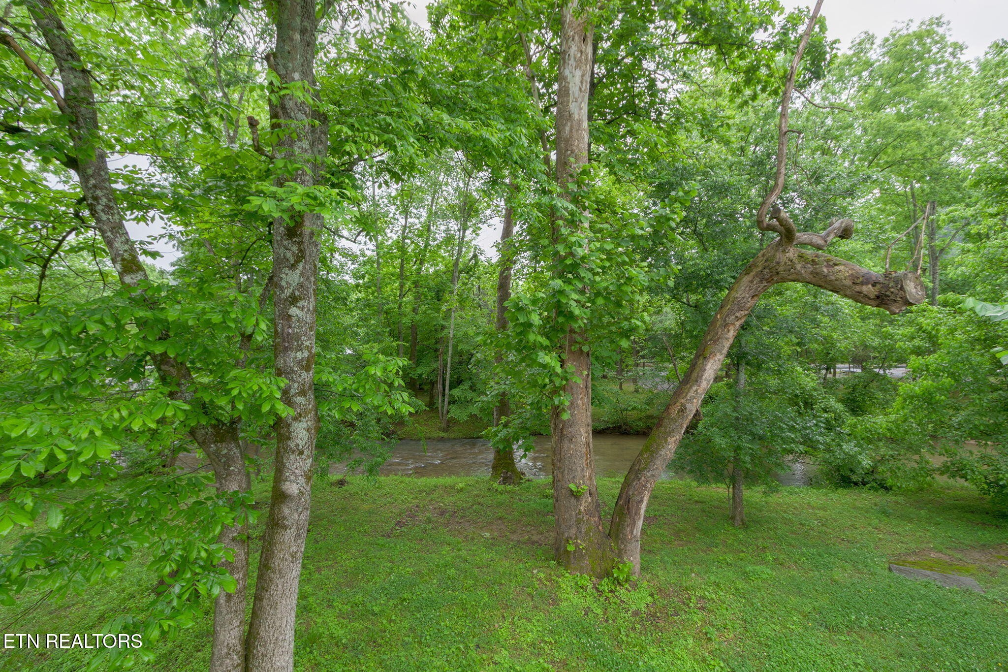 2032 Slippery Rock Circle Property Photo 12