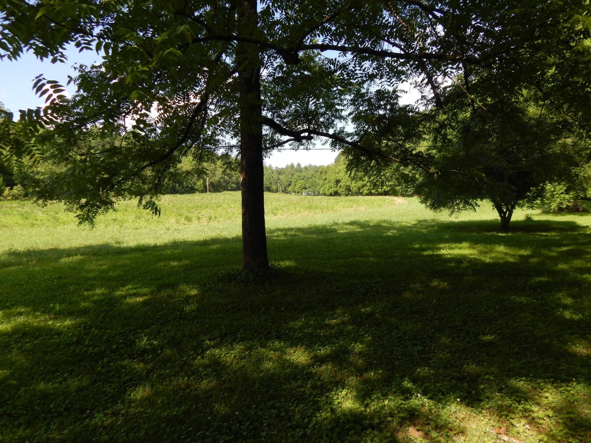 3795 Wayland Springs Rd Property Photo 7