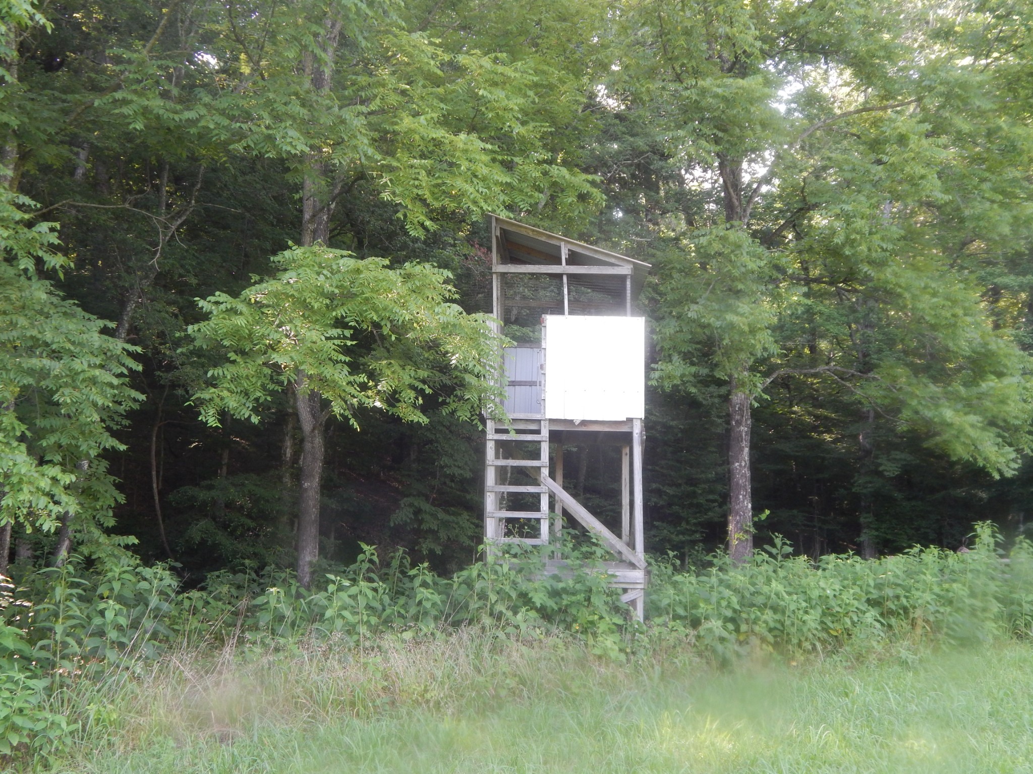 3795 Wayland Springs Rd Property Photo 8