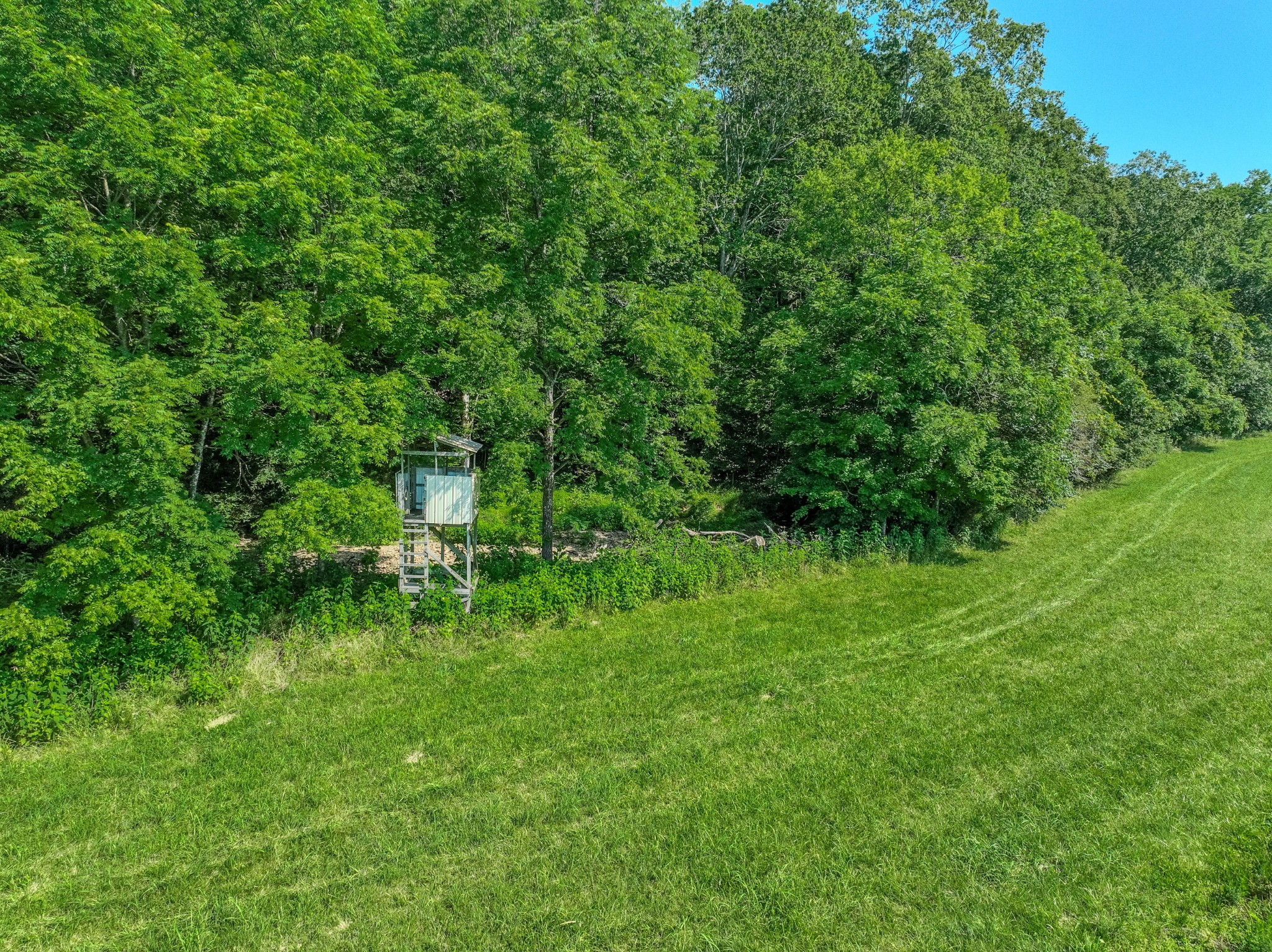 3795 Wayland Springs Rd Property Photo 16