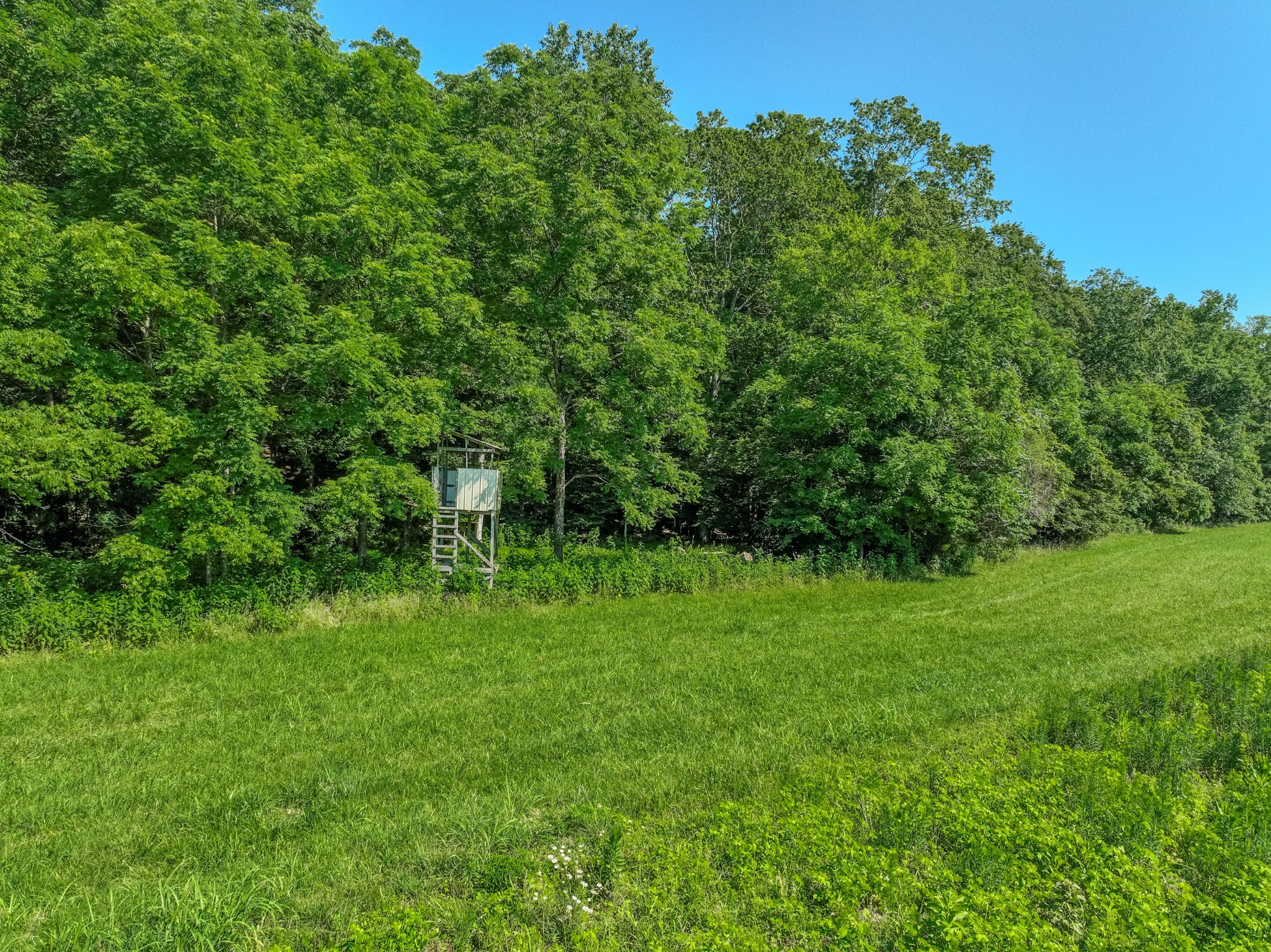 3795 Wayland Springs Rd Property Photo 17
