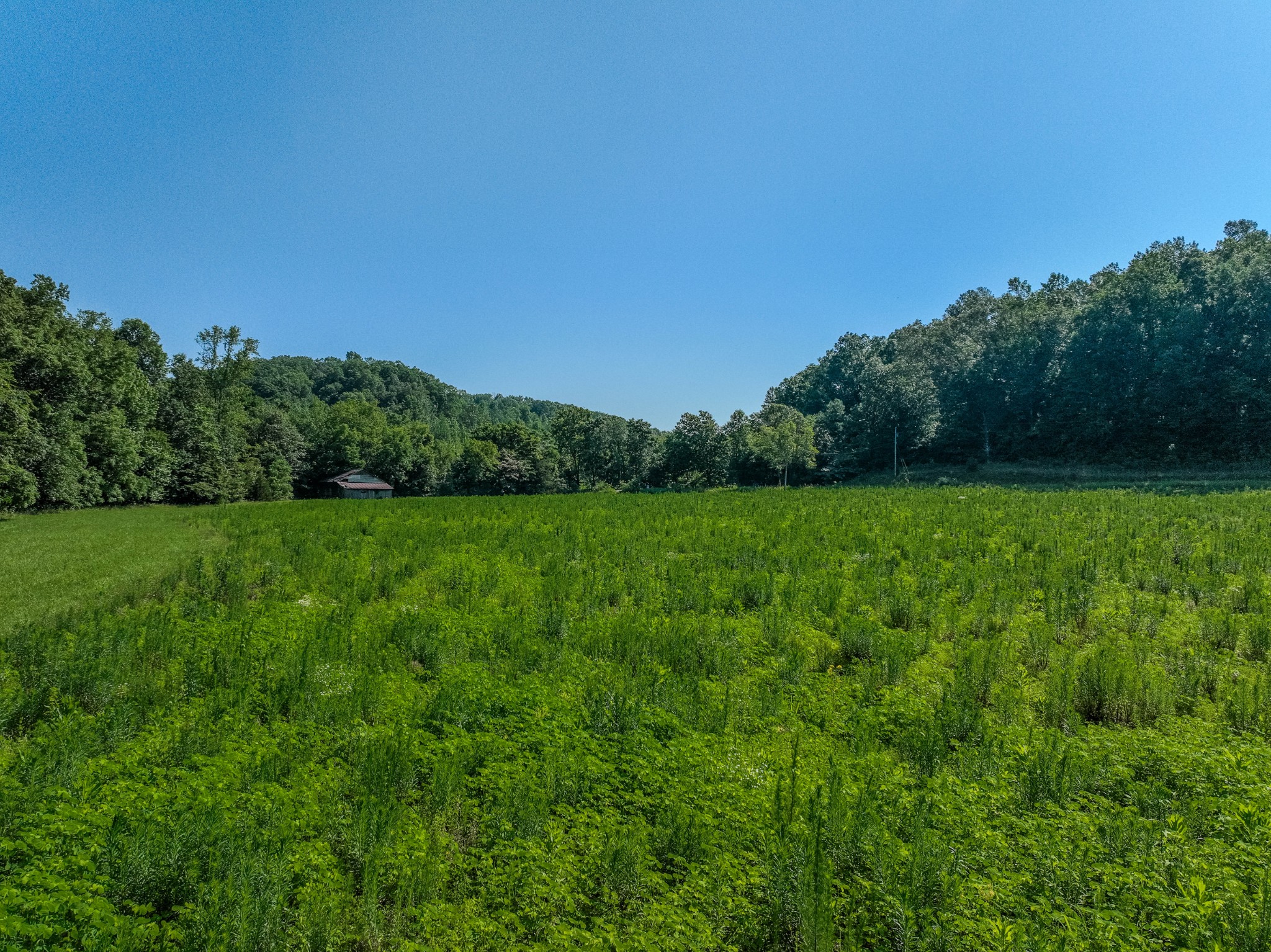 3795 Wayland Springs Rd Property Photo 18