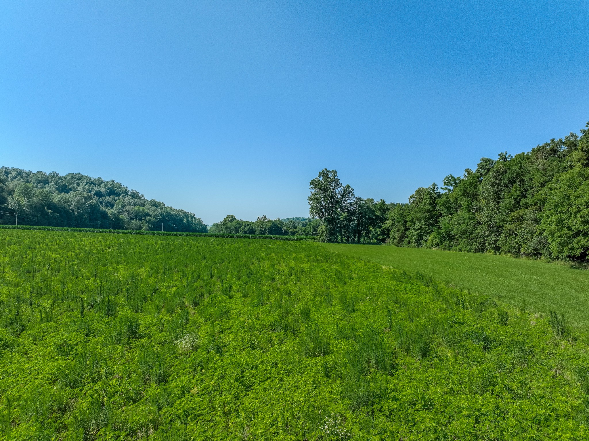 3795 Wayland Springs Rd Property Photo 19