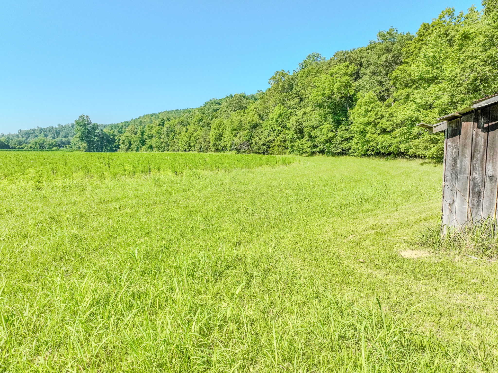 3795 Wayland Springs Rd Property Photo 33
