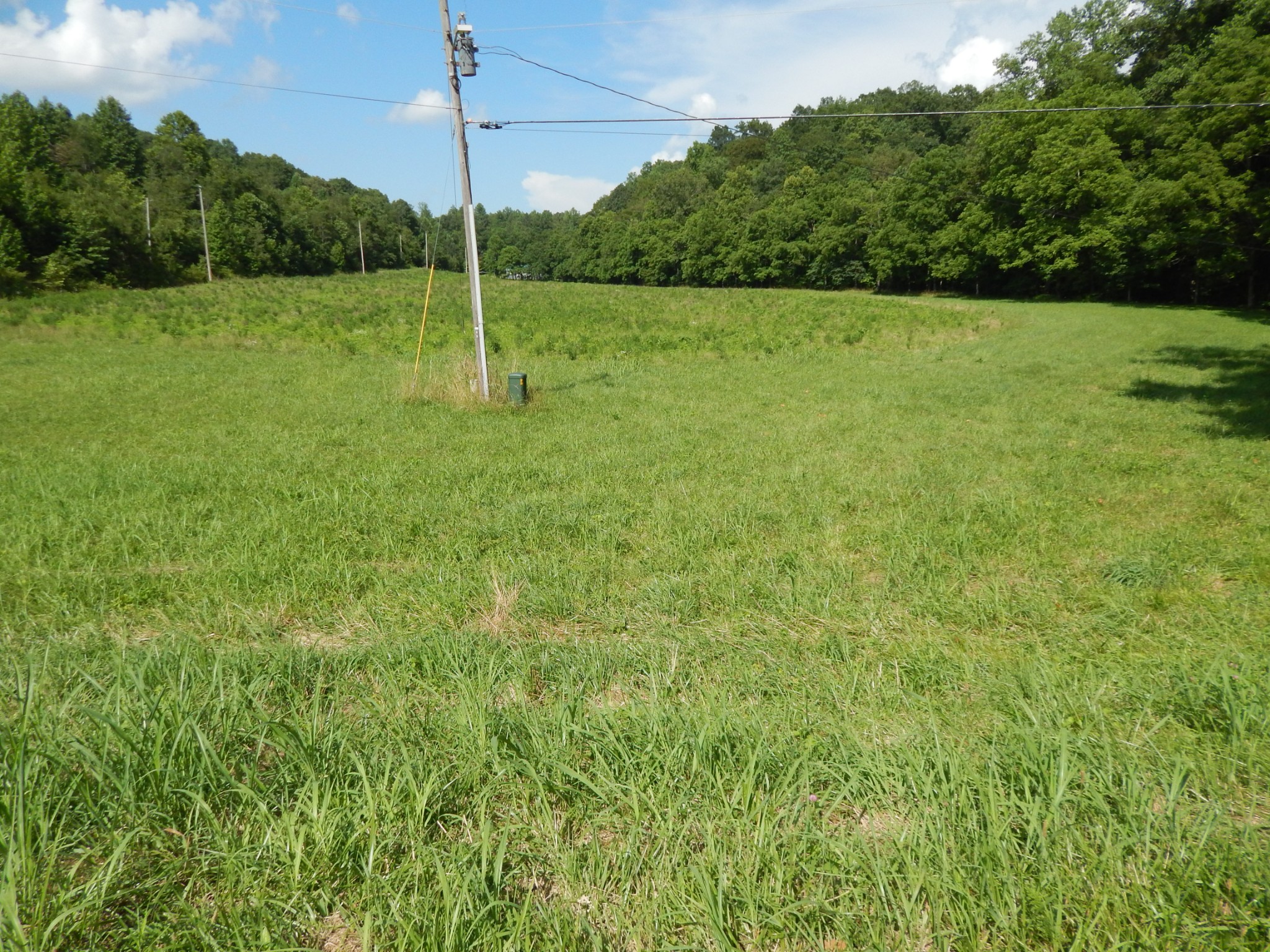 3795 Wayland Springs Rd Property Photo 49