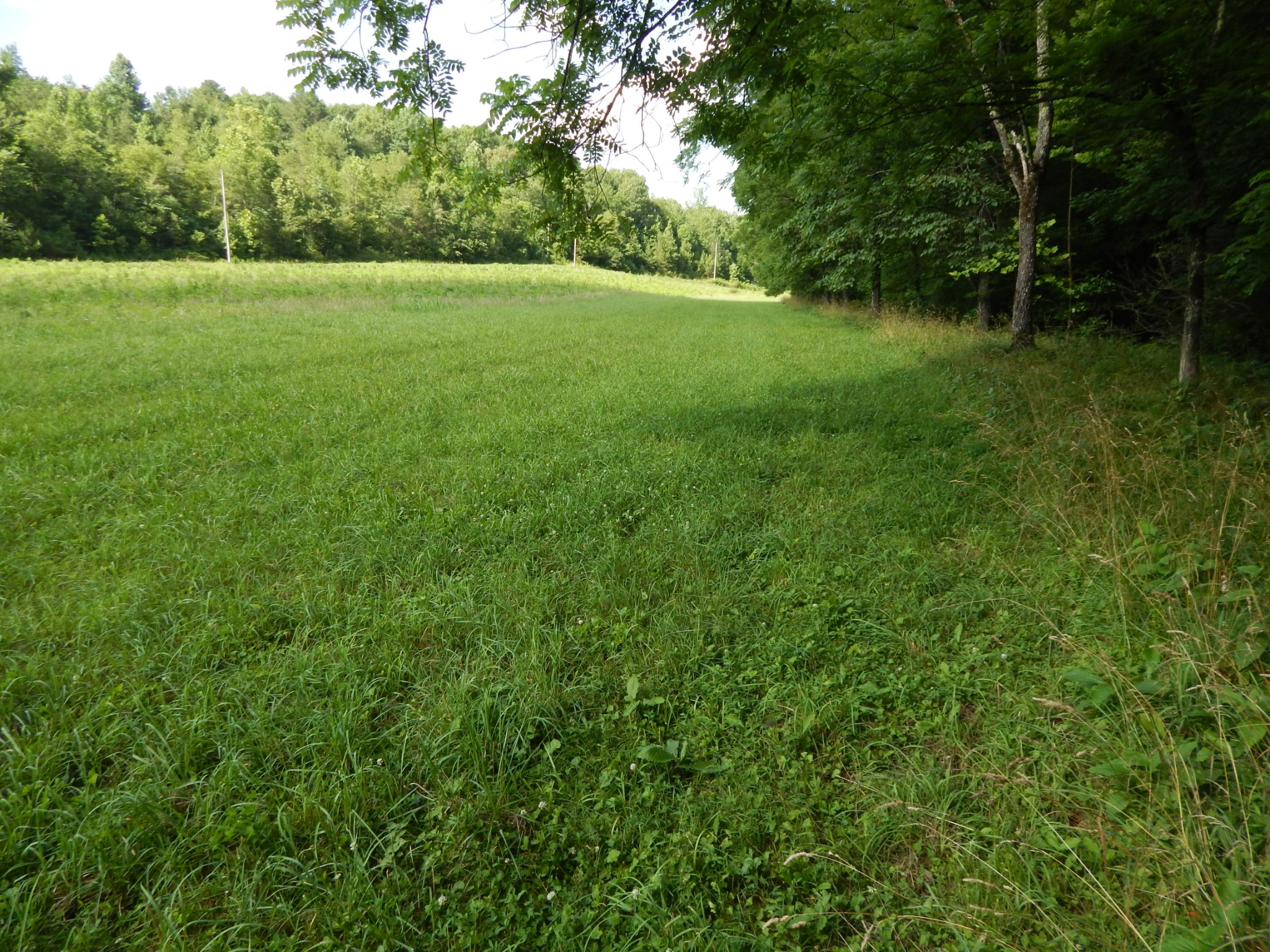 3795 Wayland Springs Rd Property Photo 54
