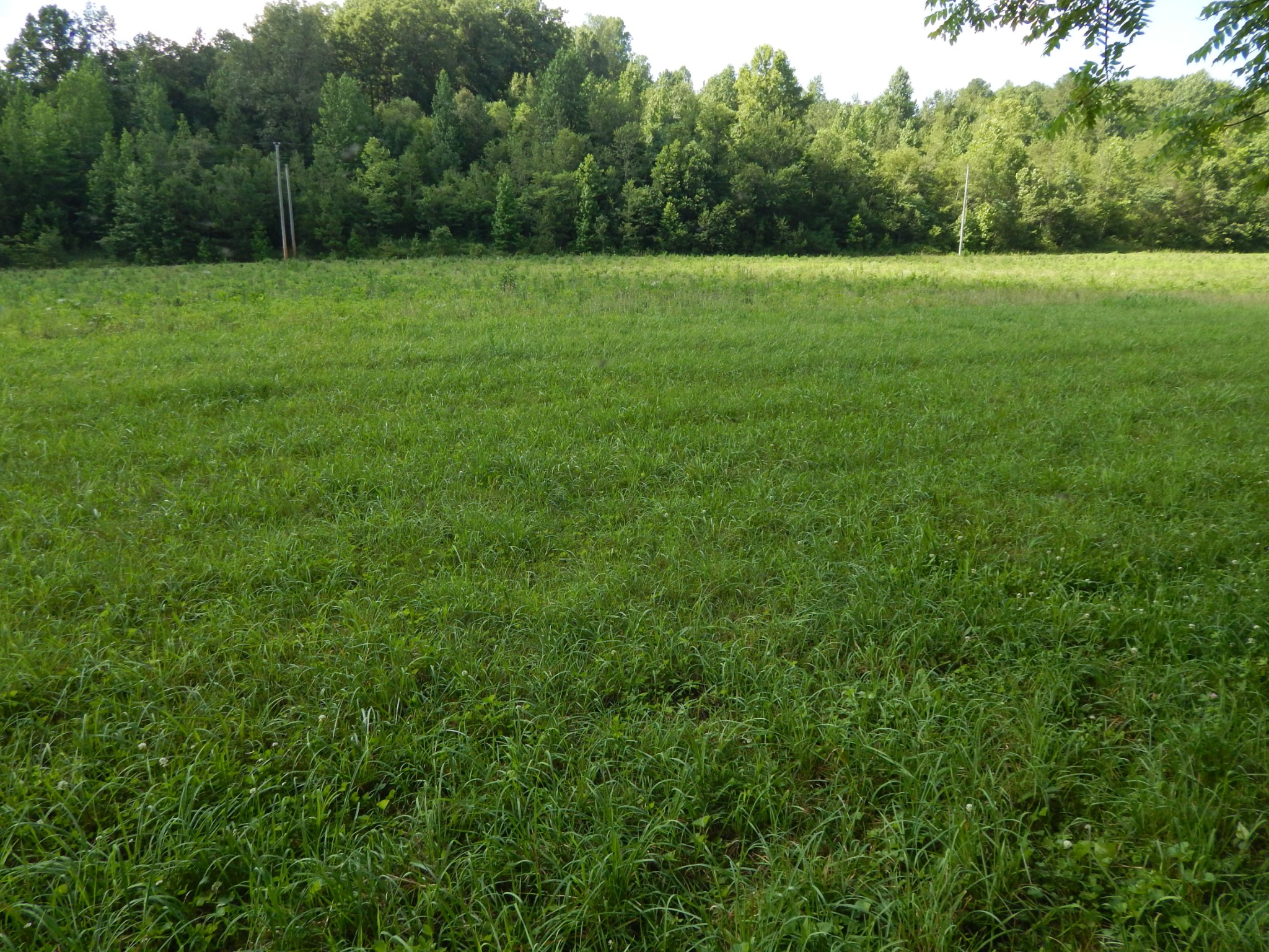 3795 Wayland Springs Rd Property Photo 55