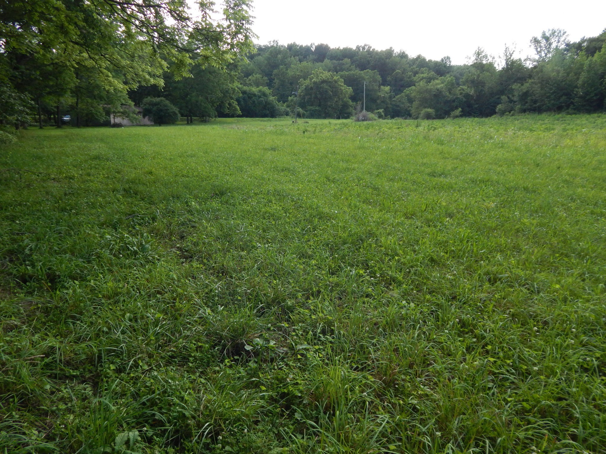 3795 Wayland Springs Rd Property Photo 56