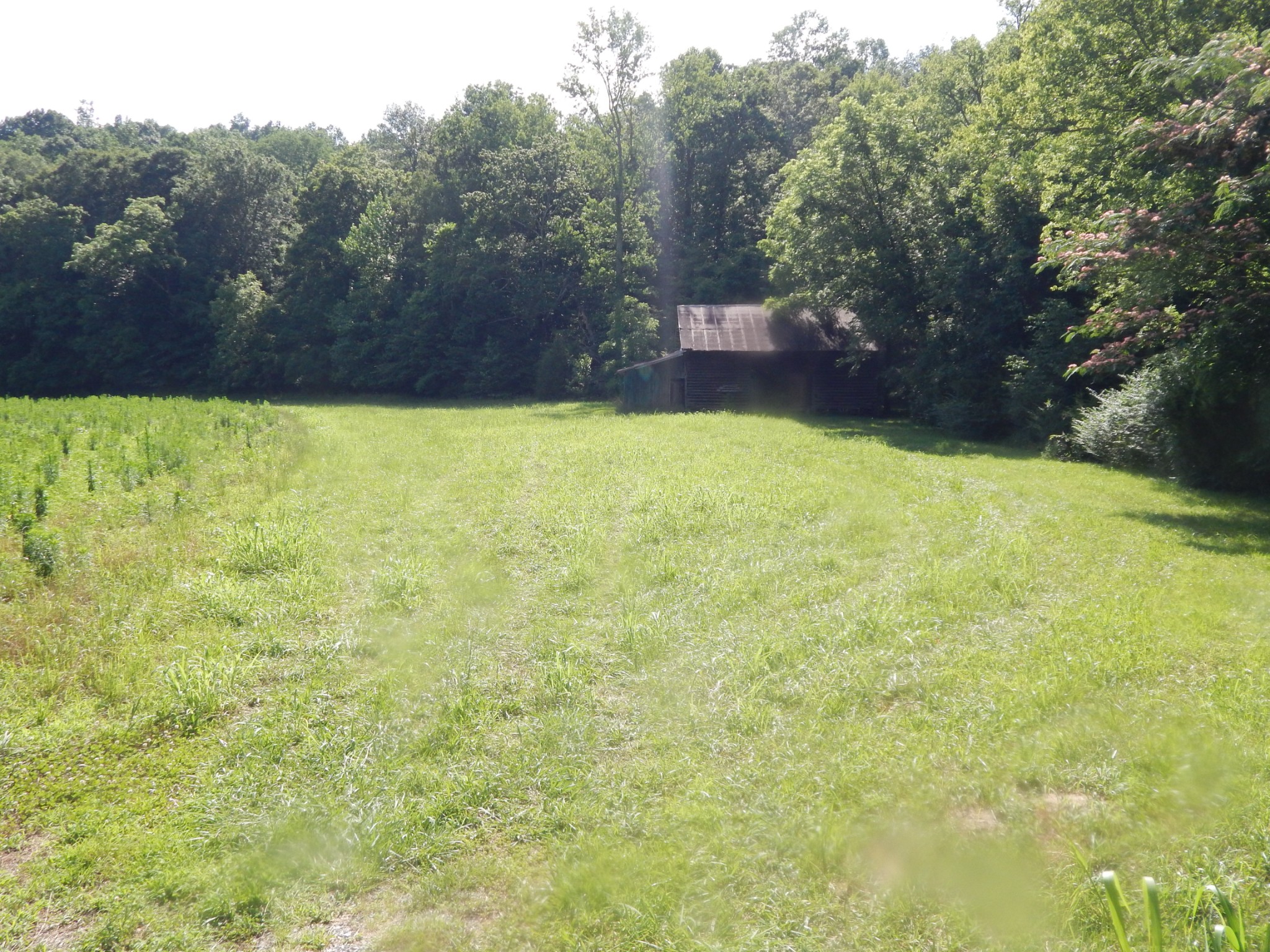 3795 Wayland Springs Rd Property Photo 61