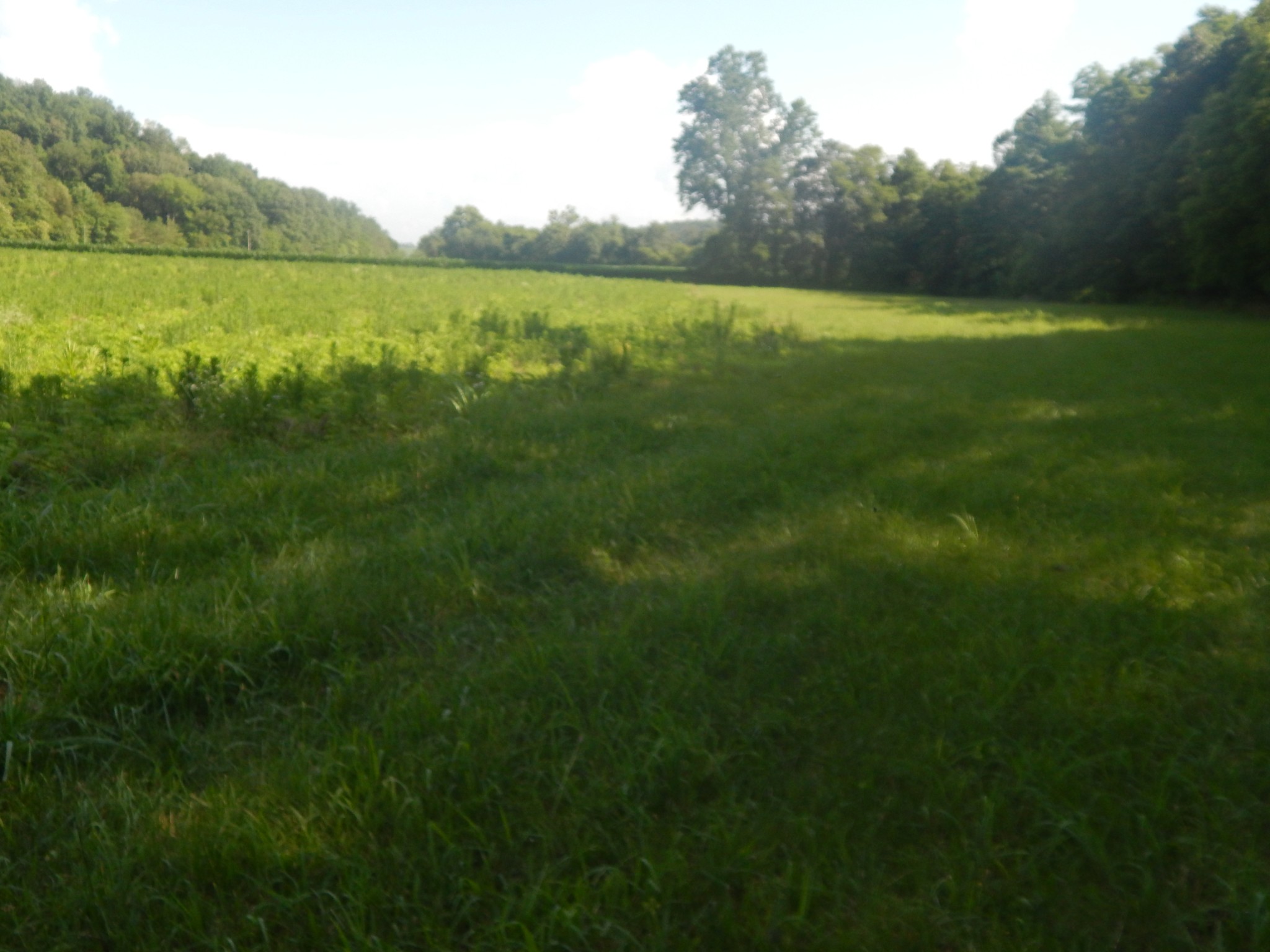 3795 Wayland Springs Rd Property Photo 66