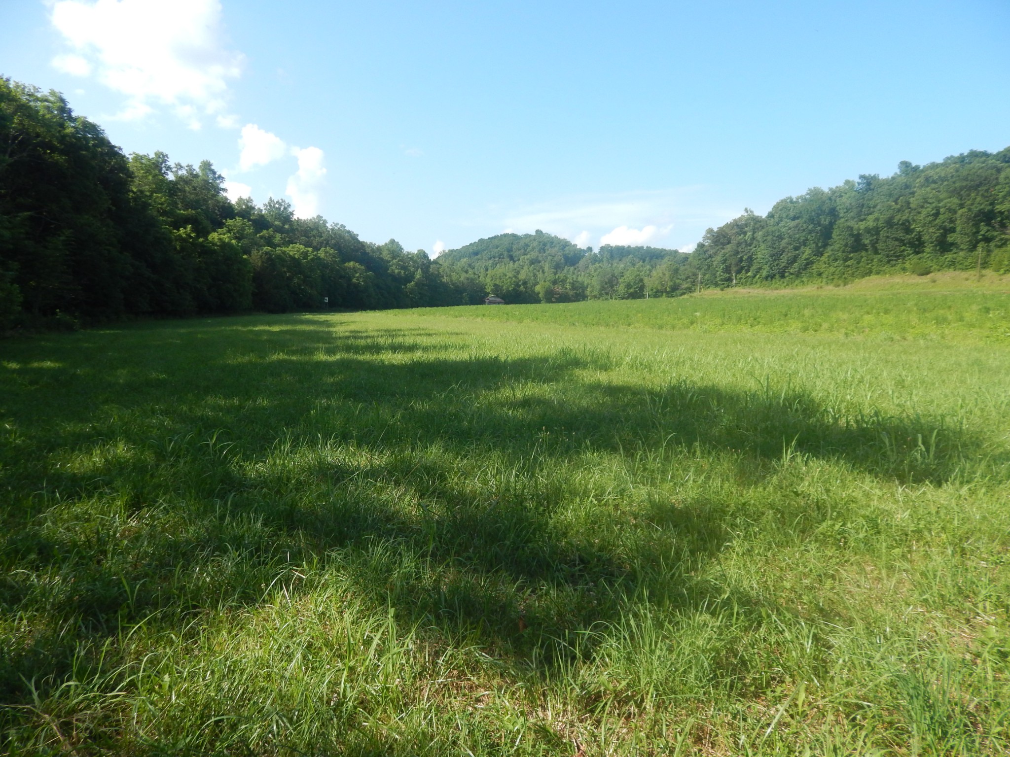 3795 Wayland Springs Rd Property Photo 68