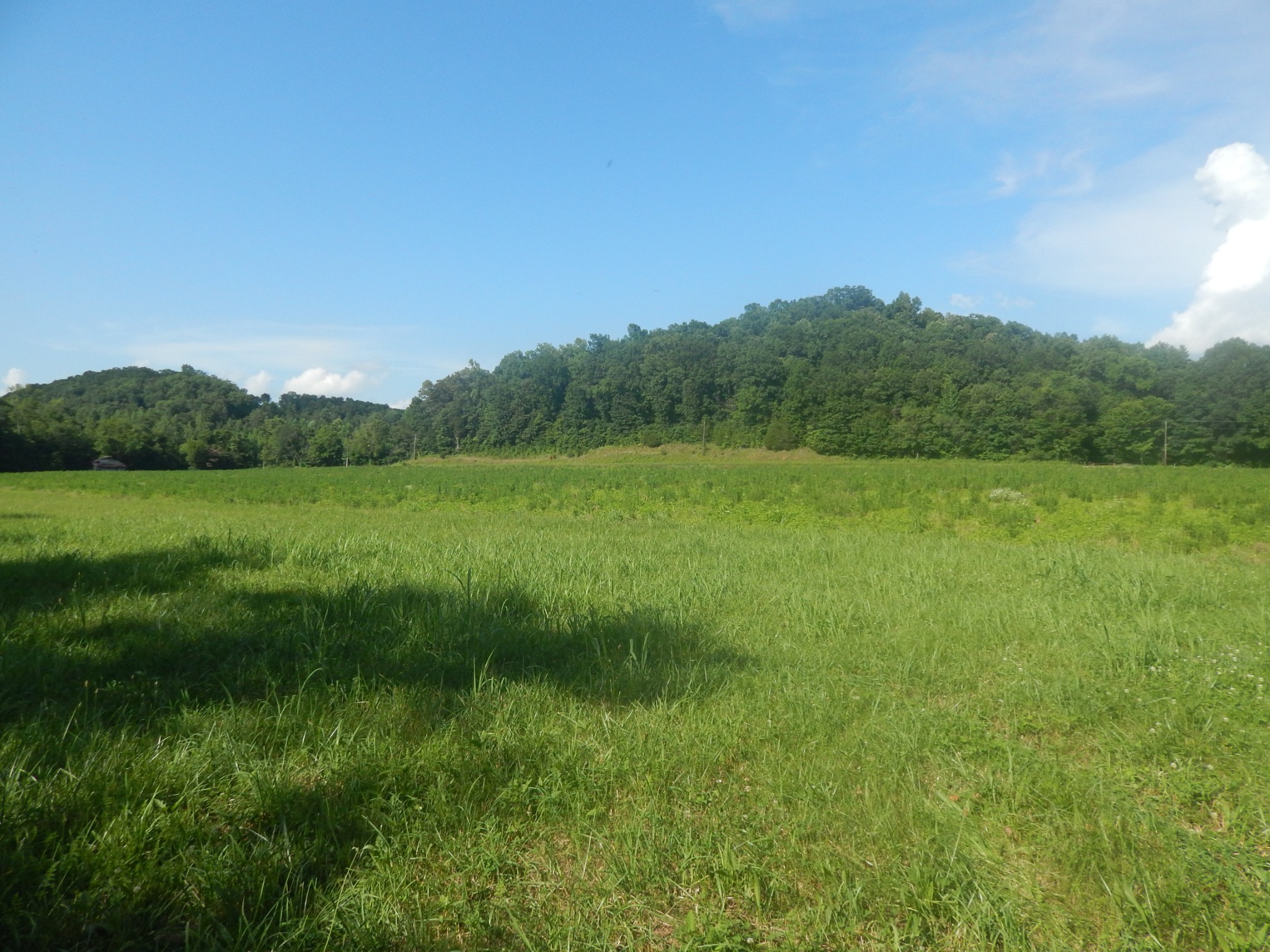 3795 Wayland Springs Rd Property Photo 69