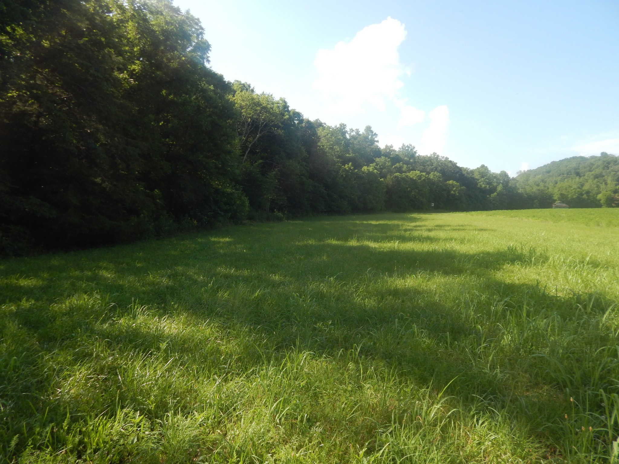 3795 Wayland Springs Rd Property Photo 71