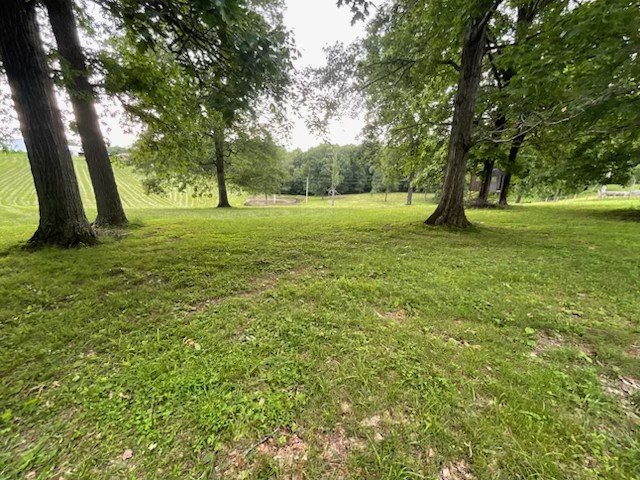 0 Hog Back Ridge Road Property Photo 2