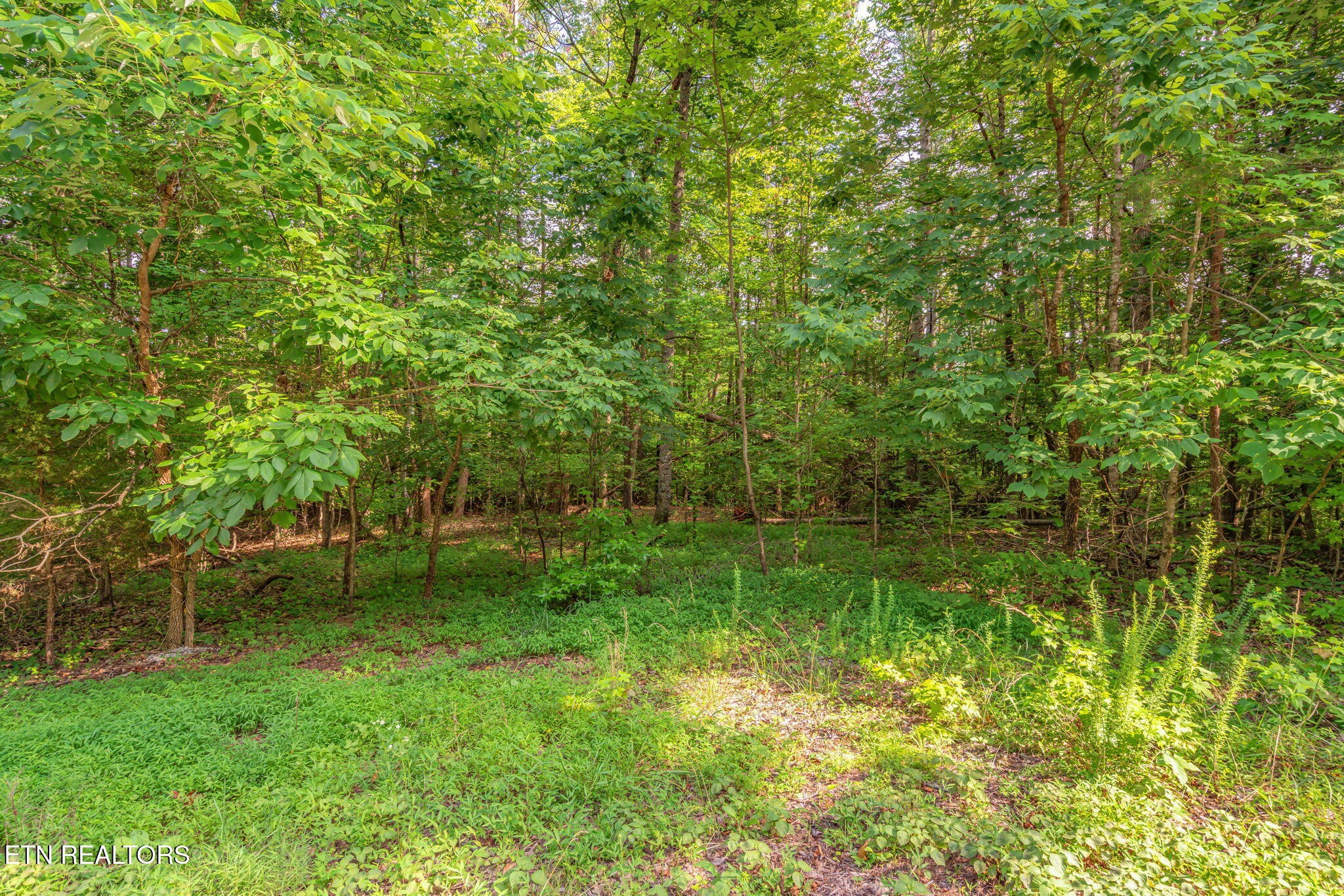 146147 Lakeview Drive Property Photo 13