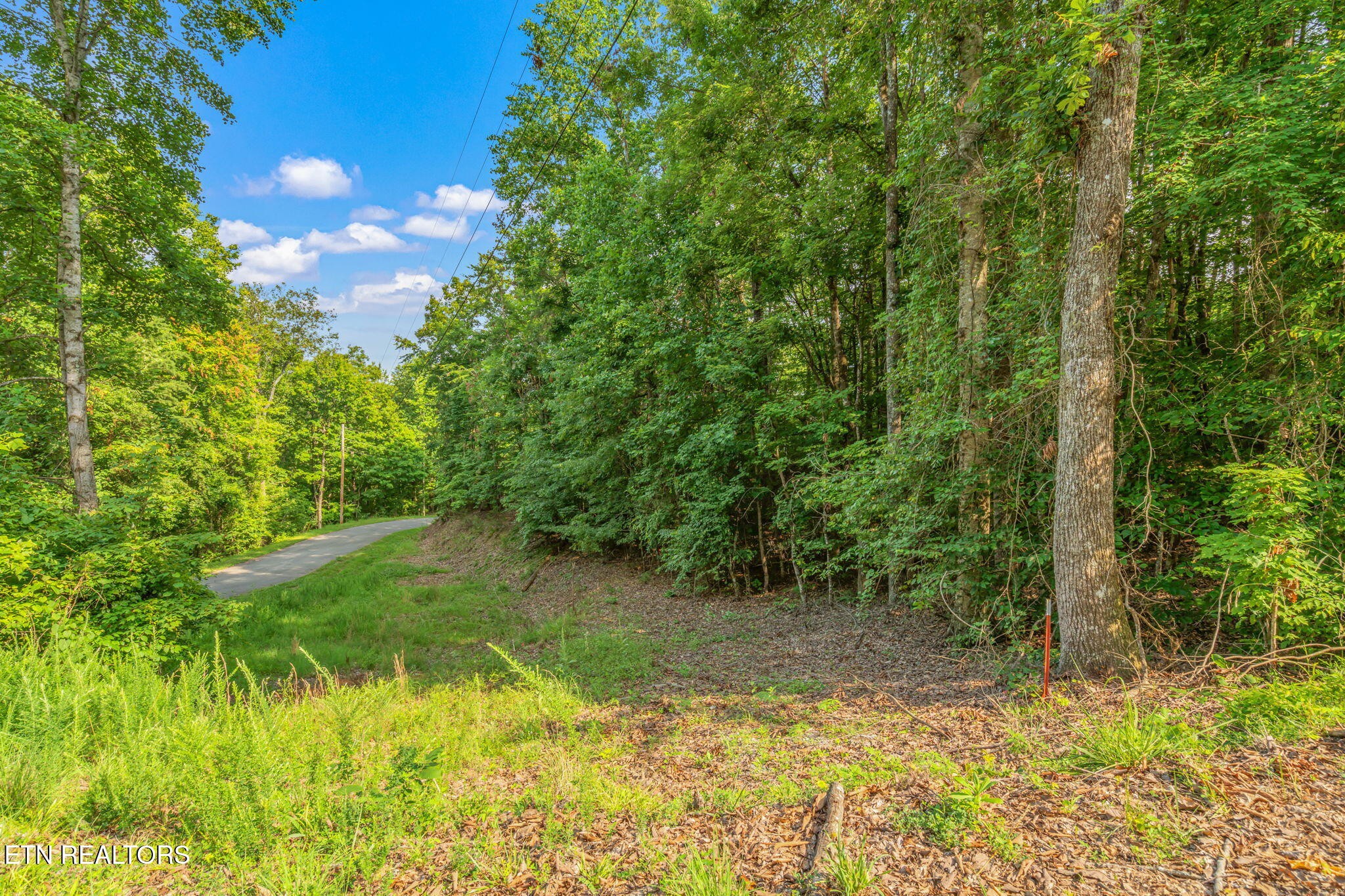 146147 Lakeview Drive Property Photo 14
