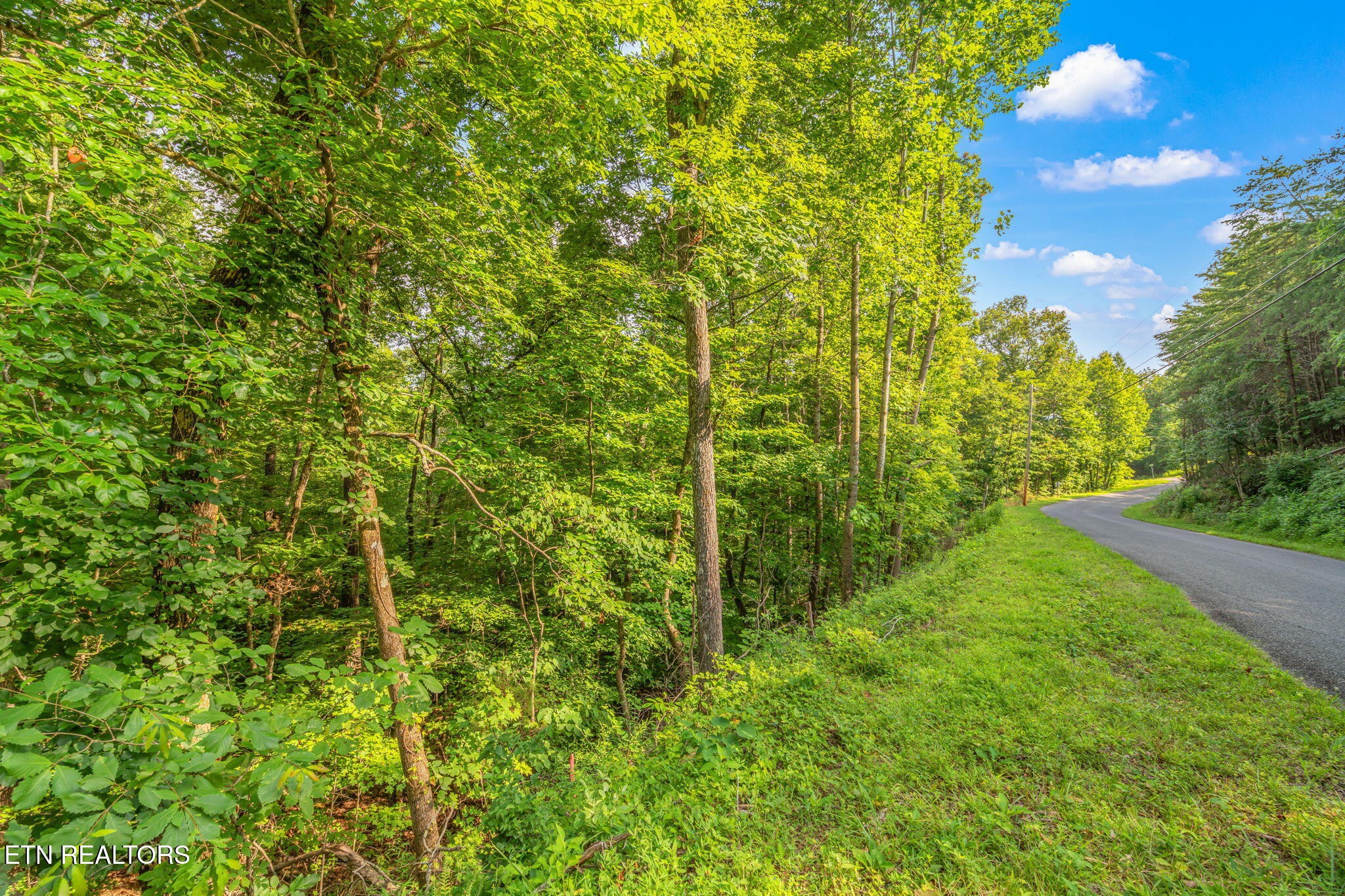 146147 Lakeview Drive Property Photo 15