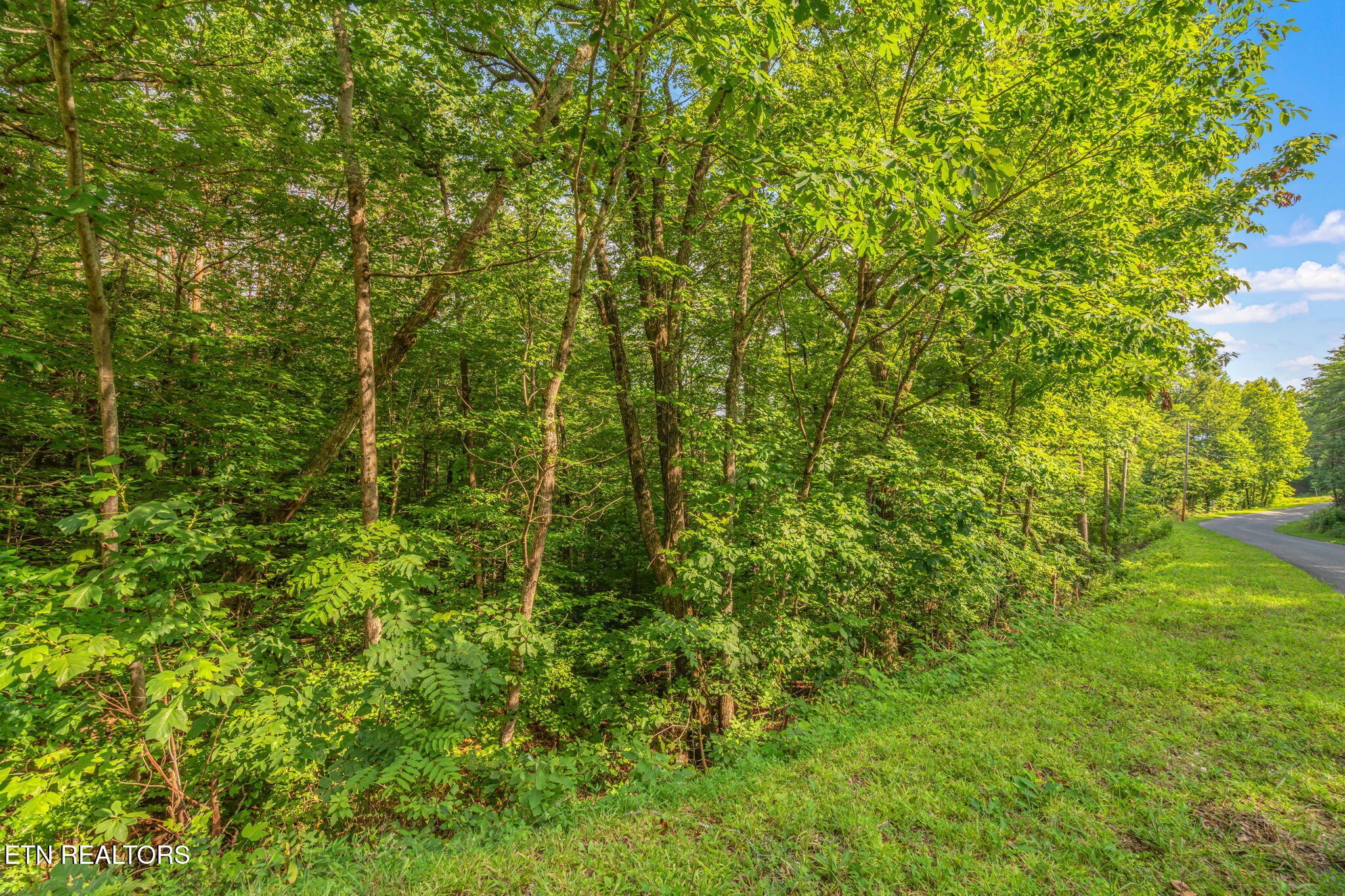 146147 Lakeview Drive Property Photo 16