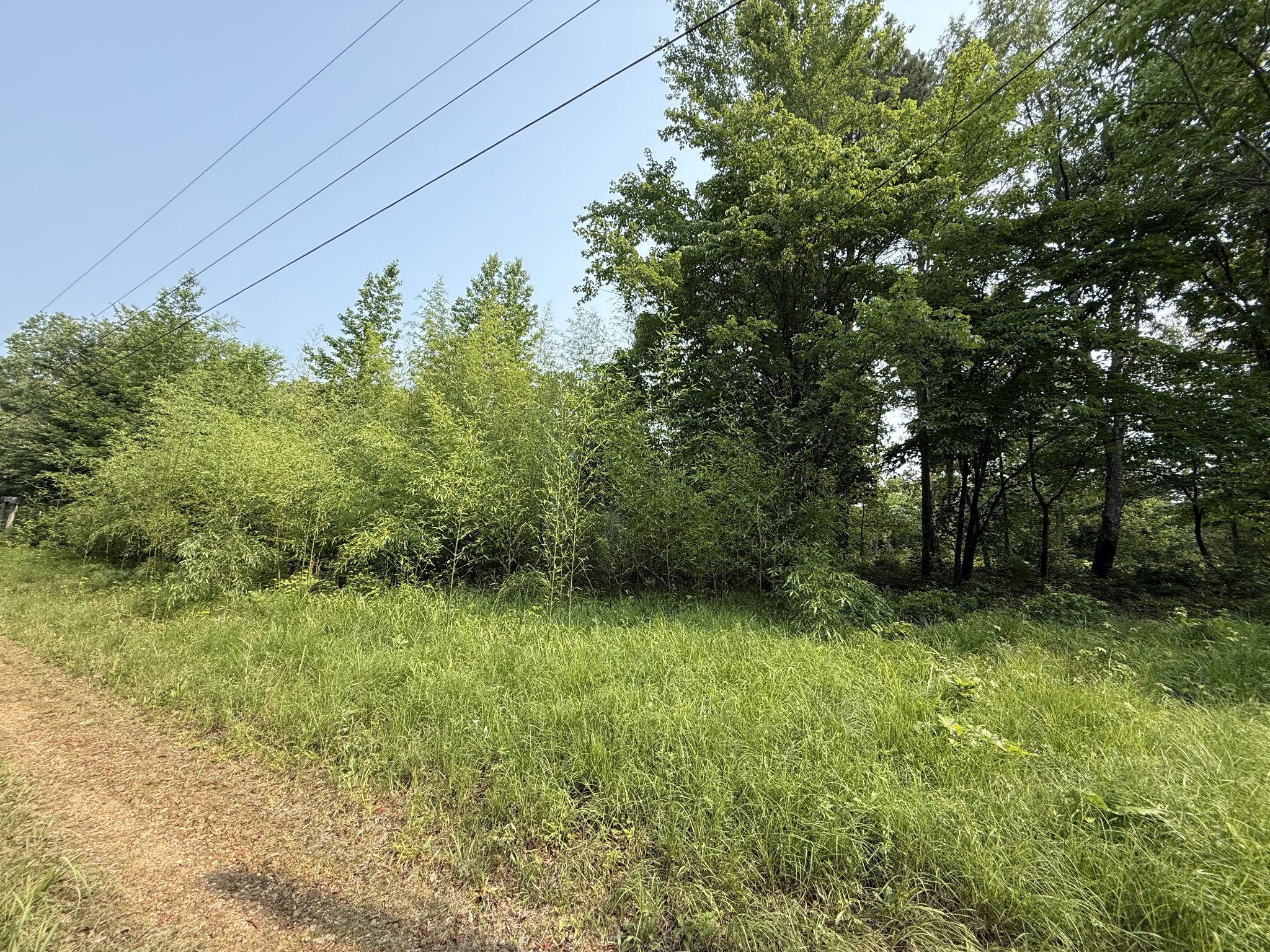 0 Webb Rd Ext Property Photo 29