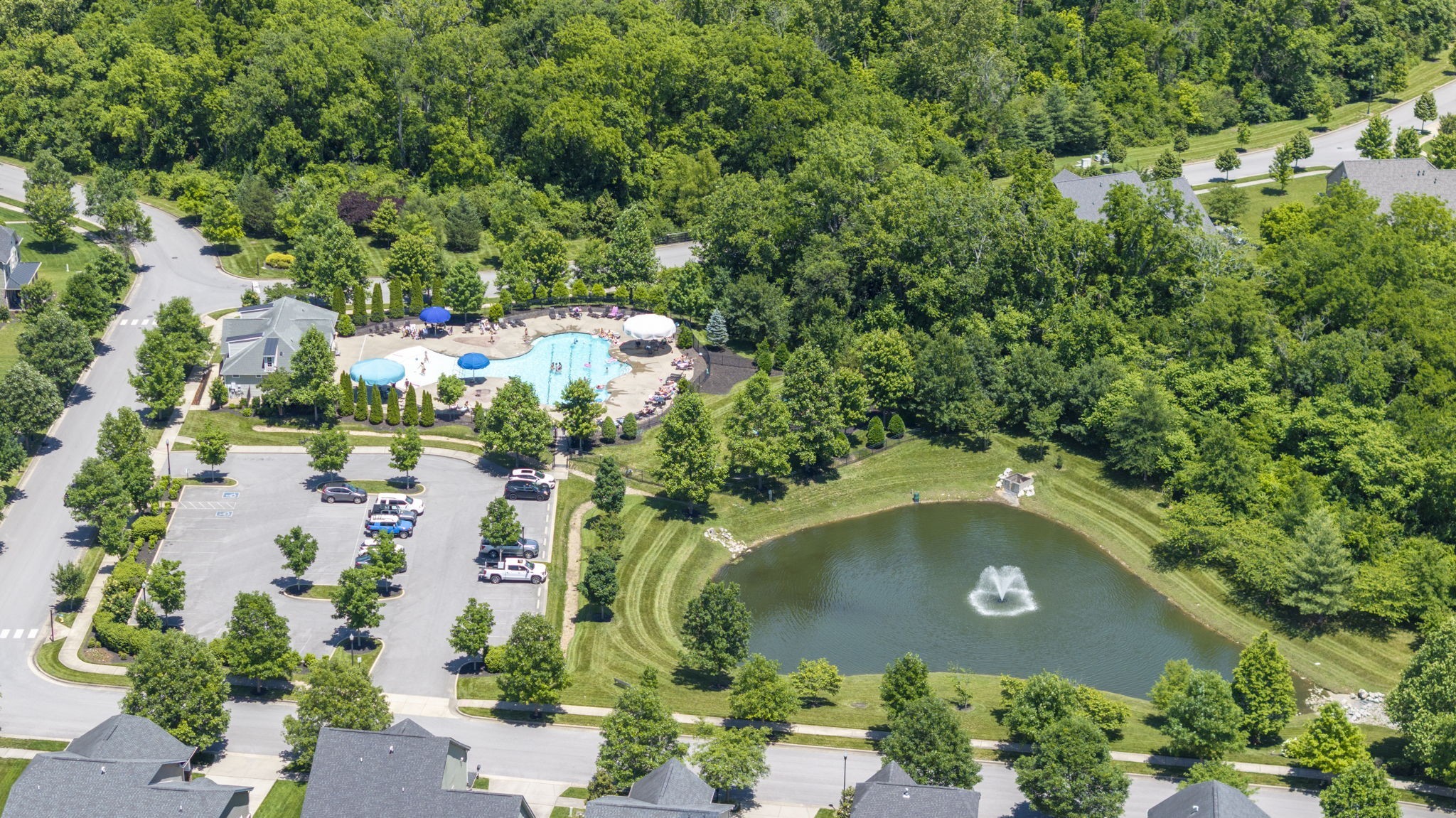 2060 Bushnell Farm Dr Property Photo 85