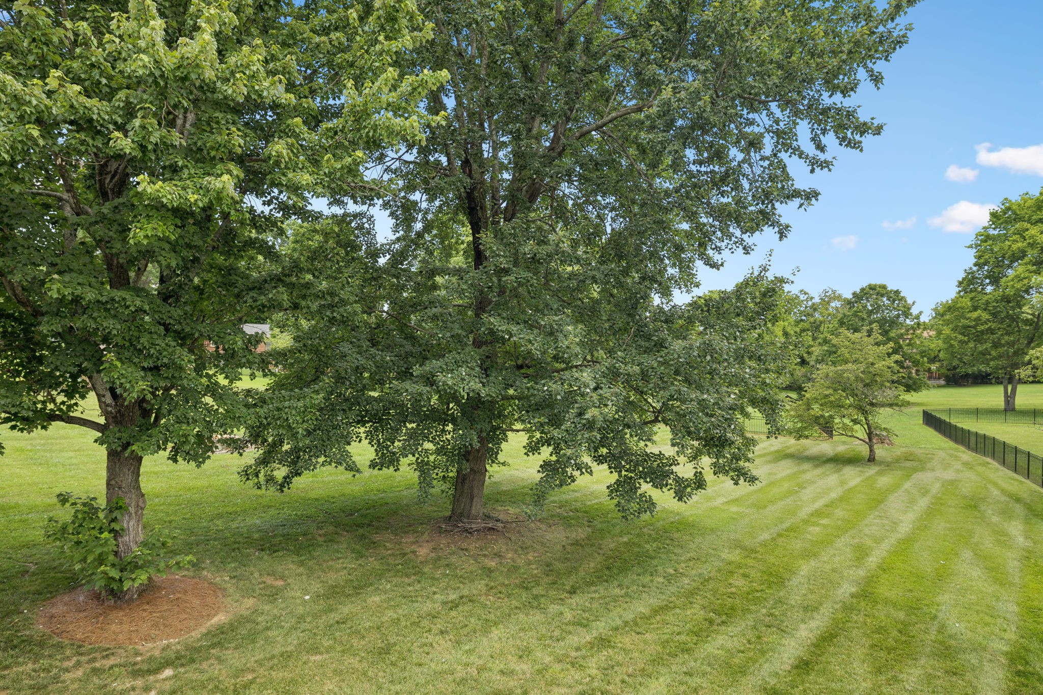311 Rising Sun Ln Property Photo 45