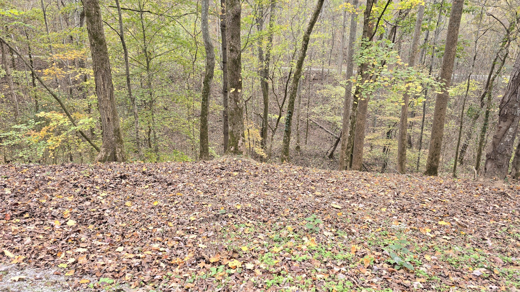 116 Lake View Dr Property Photo 1
