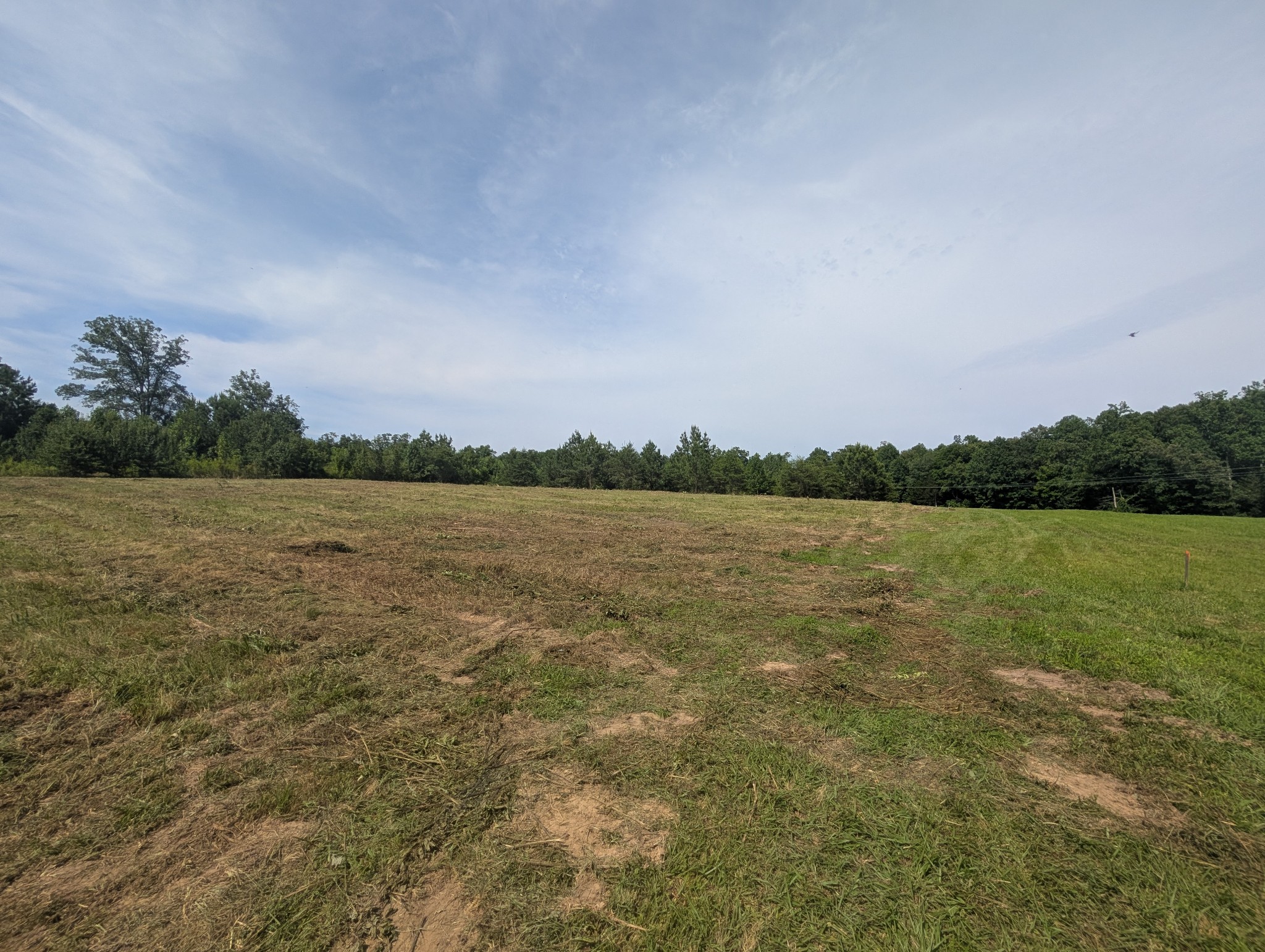 0 Bluff Springs Rd Property Photo 2