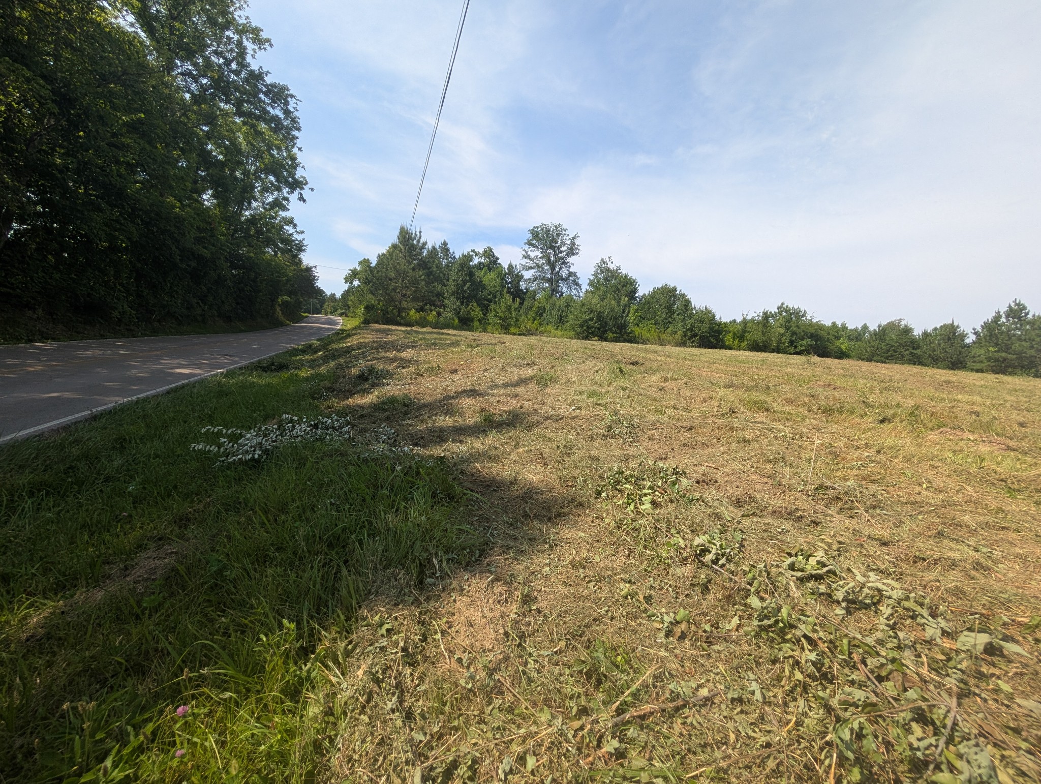 0 Bluff Springs Rd Property Photo 5