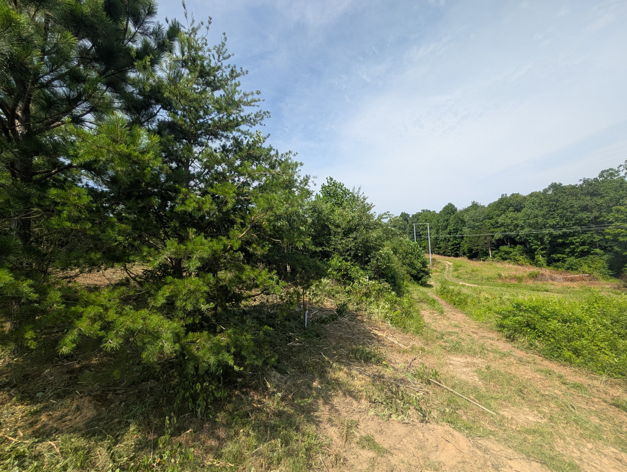 0 Bluff Springs Rd Property Photo 9