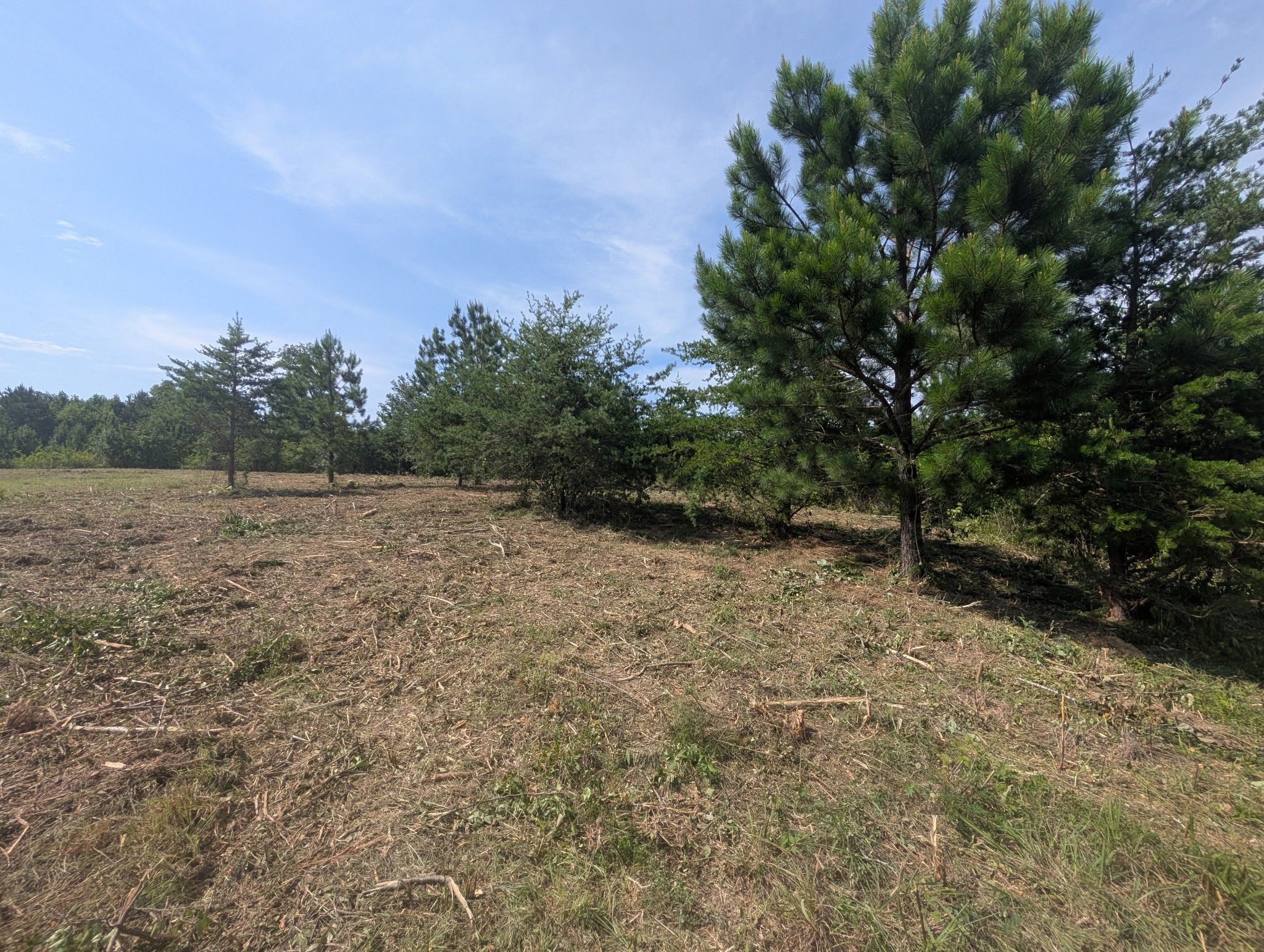 0 Bluff Springs Rd Property Photo 10