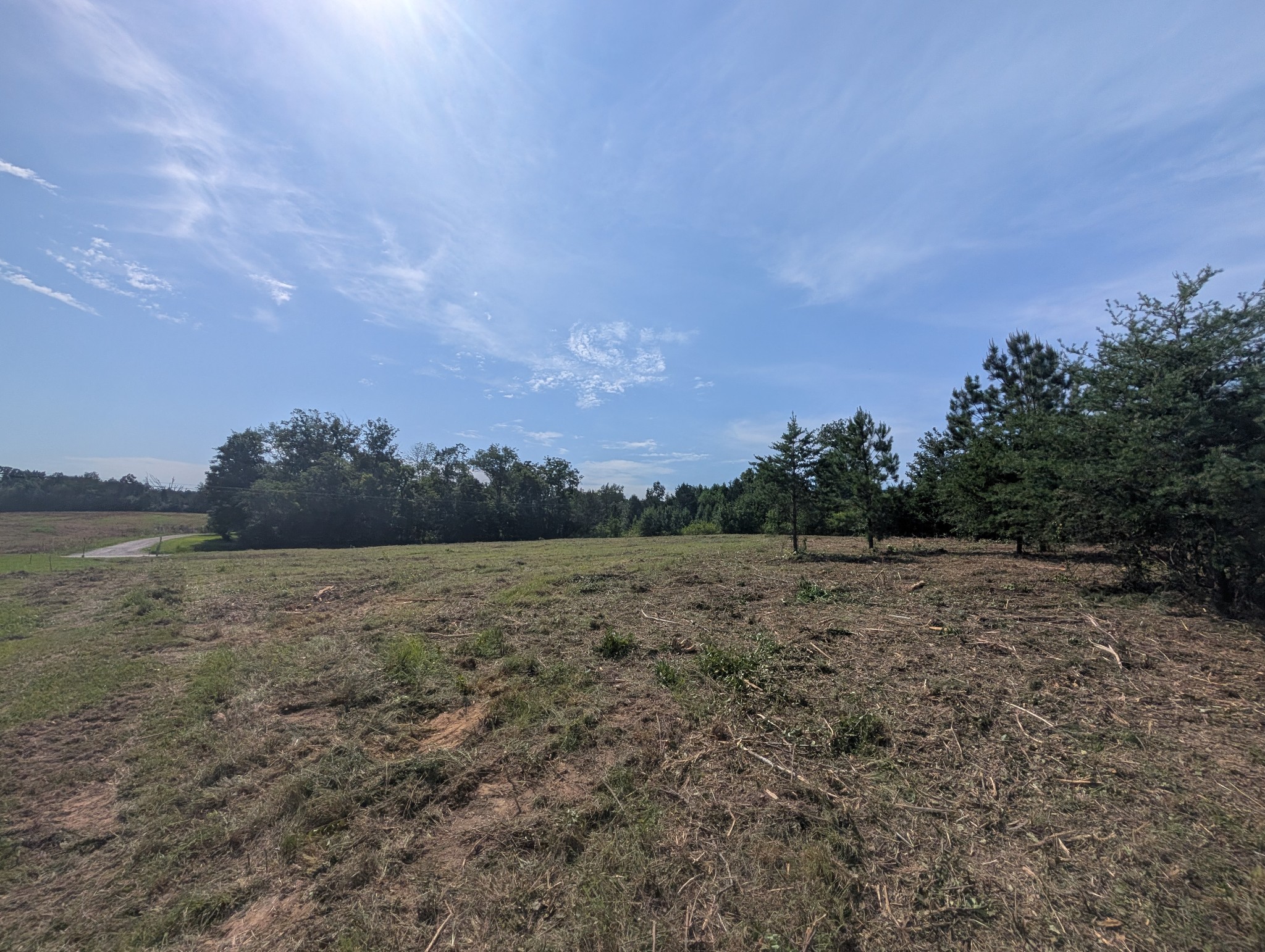 0 Bluff Springs Rd Property Photo 11