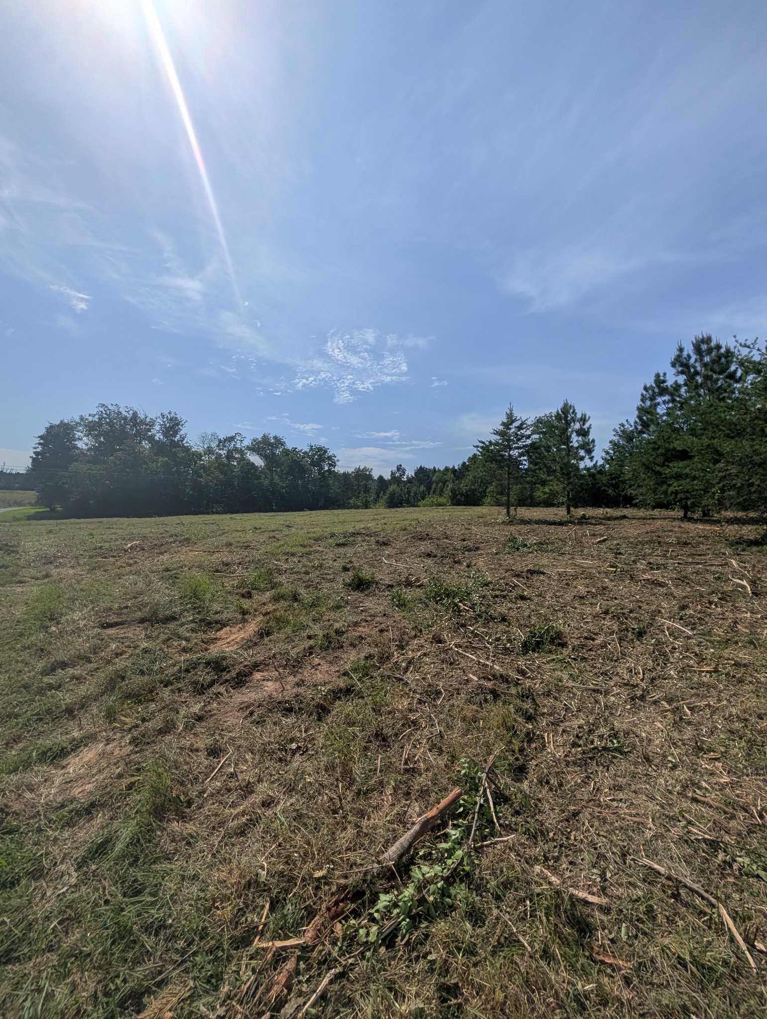 0 Bluff Springs Rd Property Photo 12