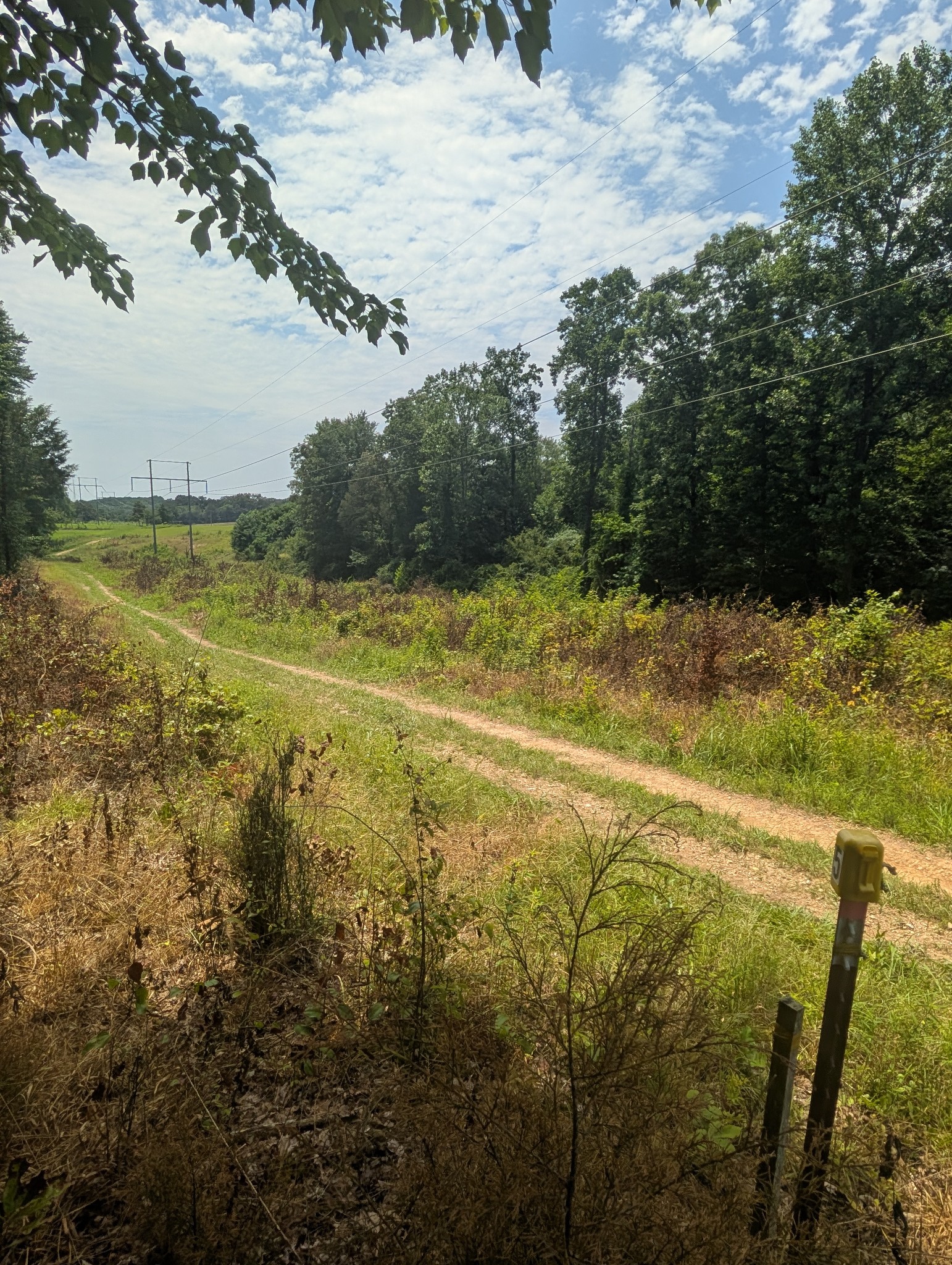 0 Bluff Springs Rd Property Photo 14