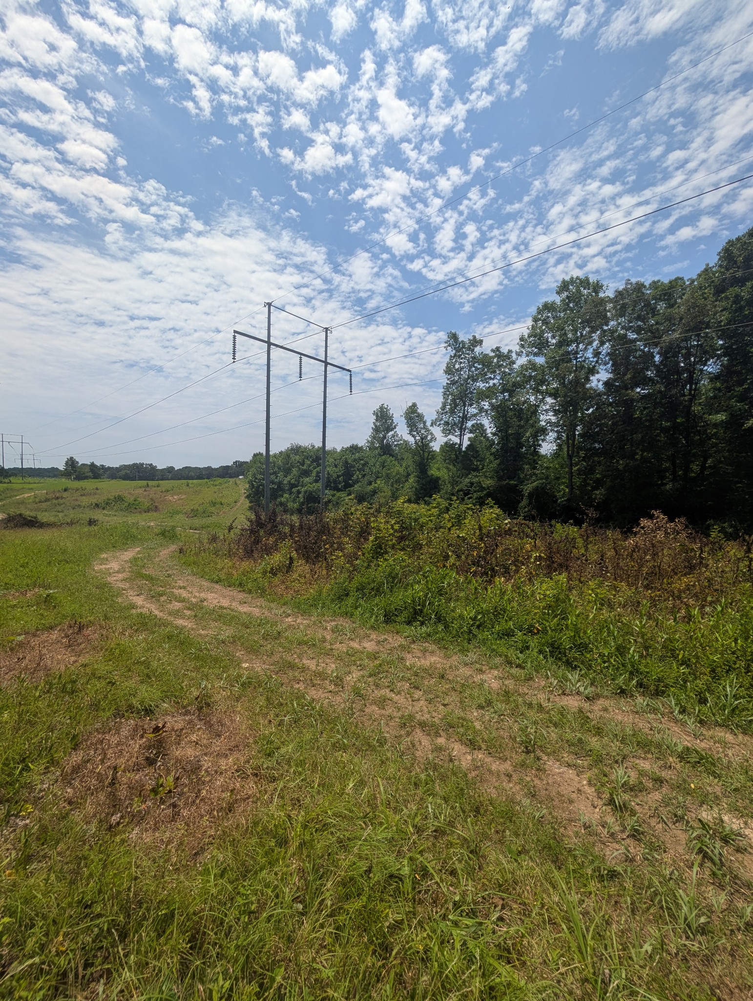 0 Bluff Springs Rd Property Photo 16